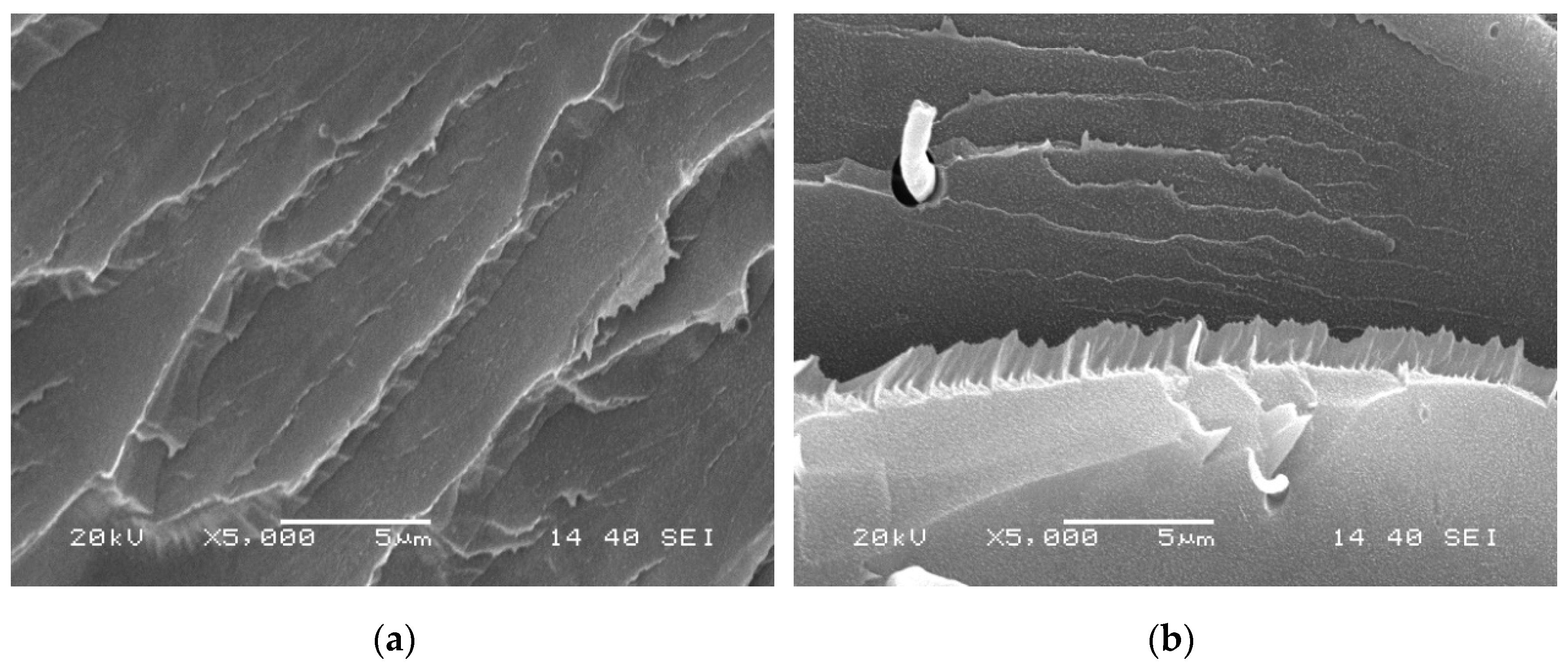 Materials 12 00563 g008