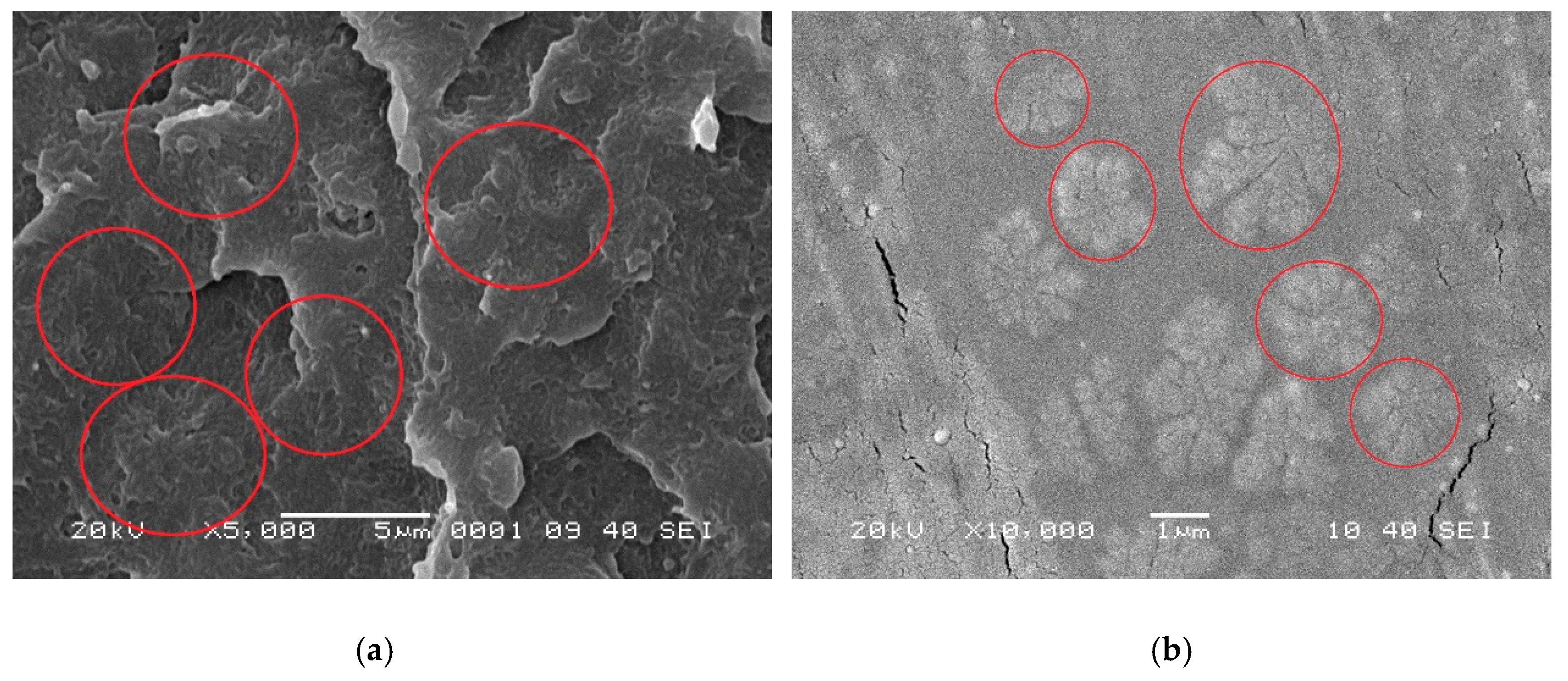 Materials 12 00563 g009