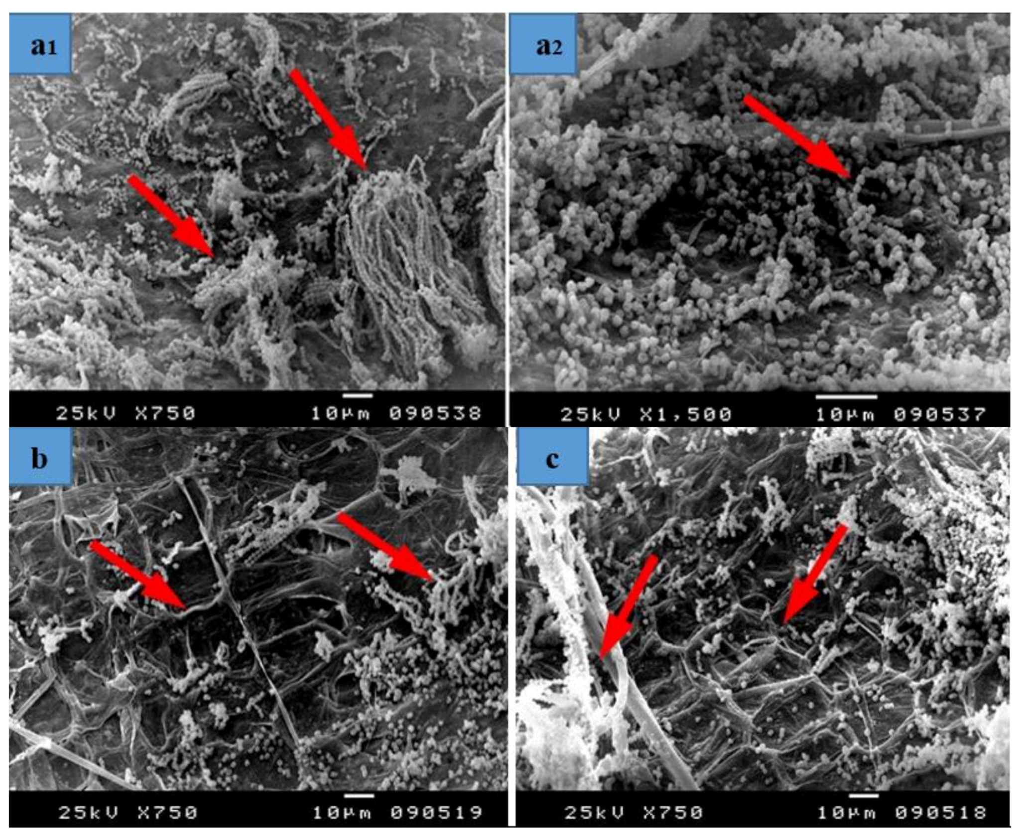 Materials 12 00620 g008a Materials 12 00620 g008a