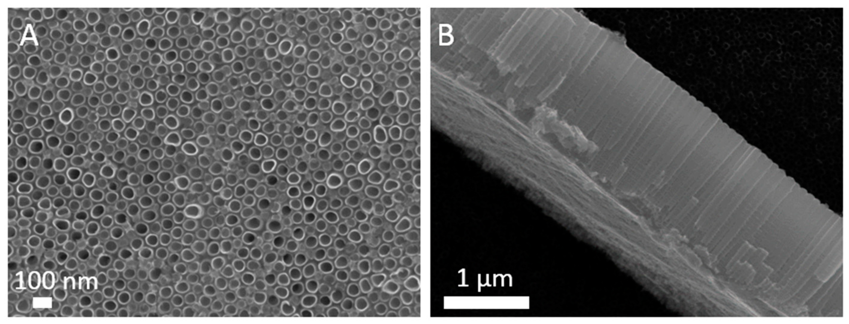 Materials 12 00626 g004 Materials 12 00626 g004