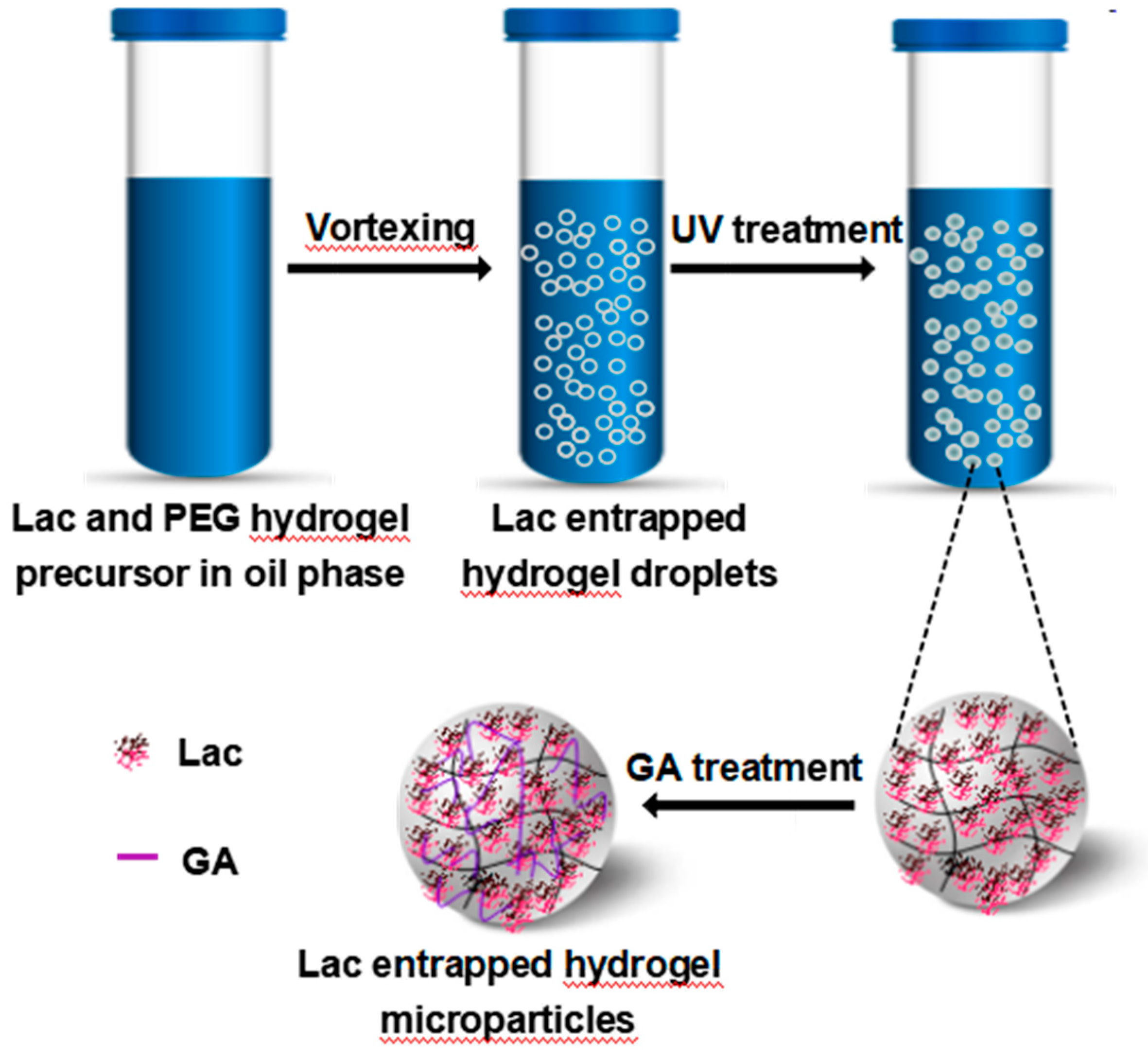 Materials 12 00704 g001