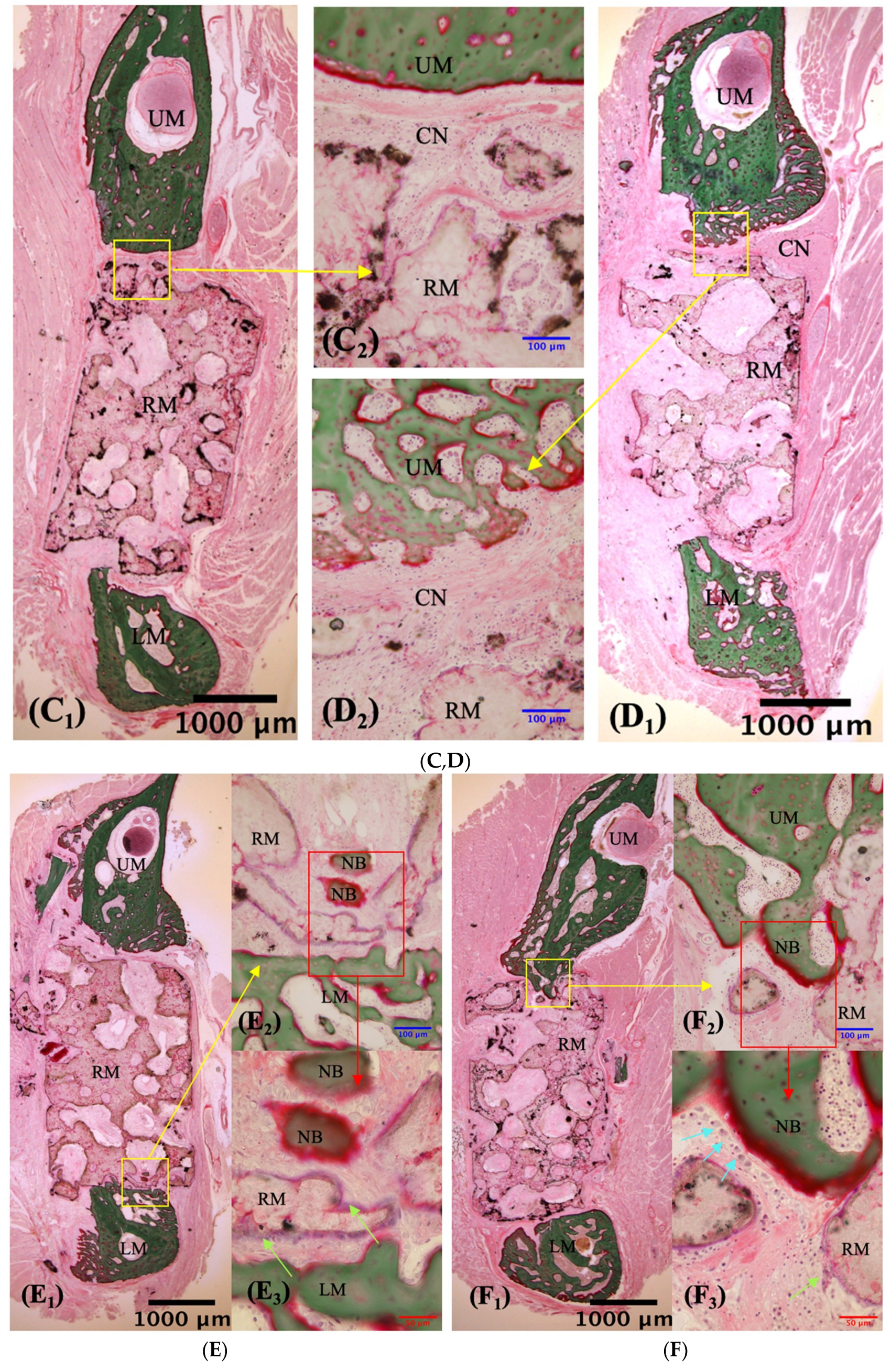 Materials 12 00705 g006b