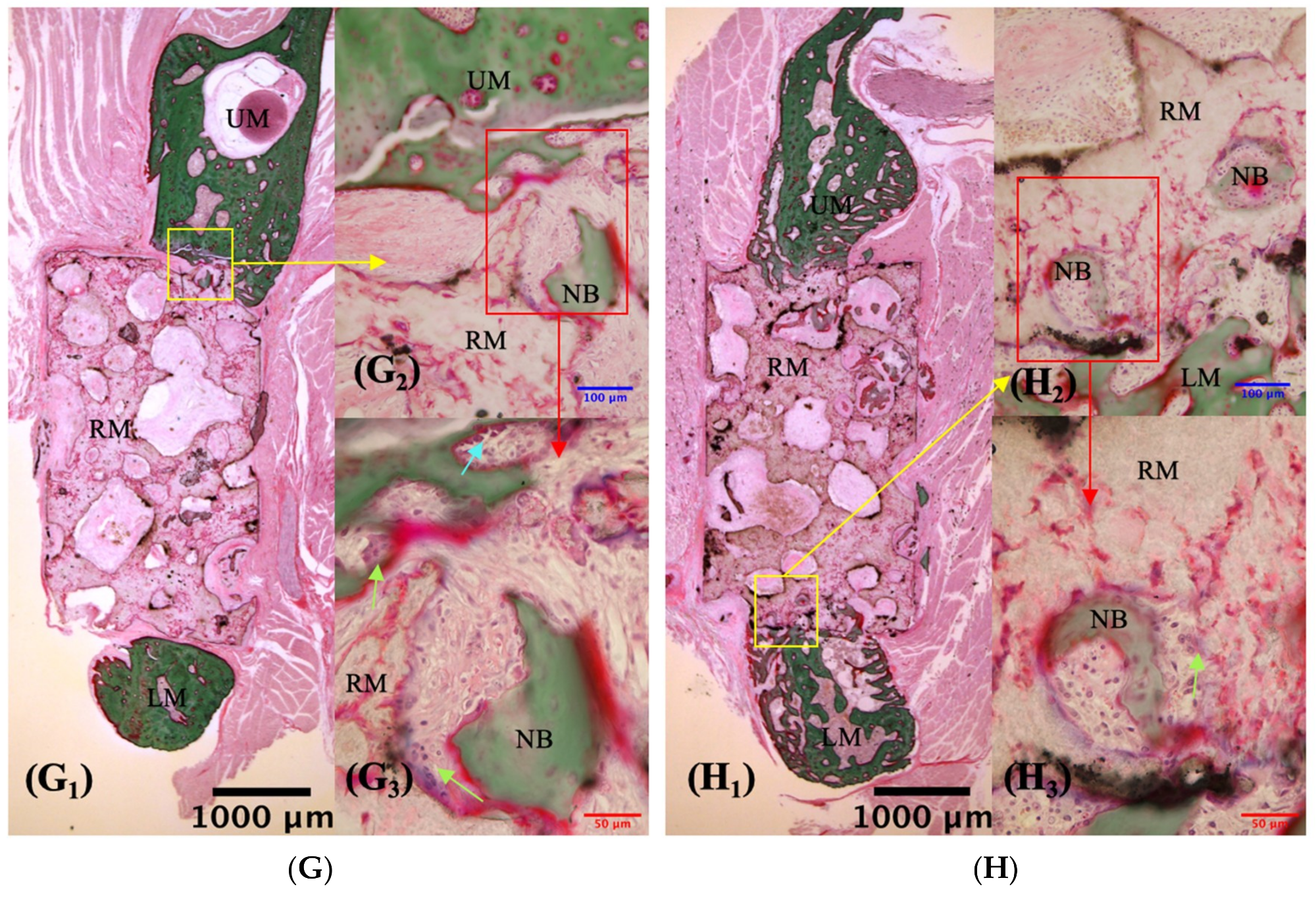 Materials 12 00705 g006c