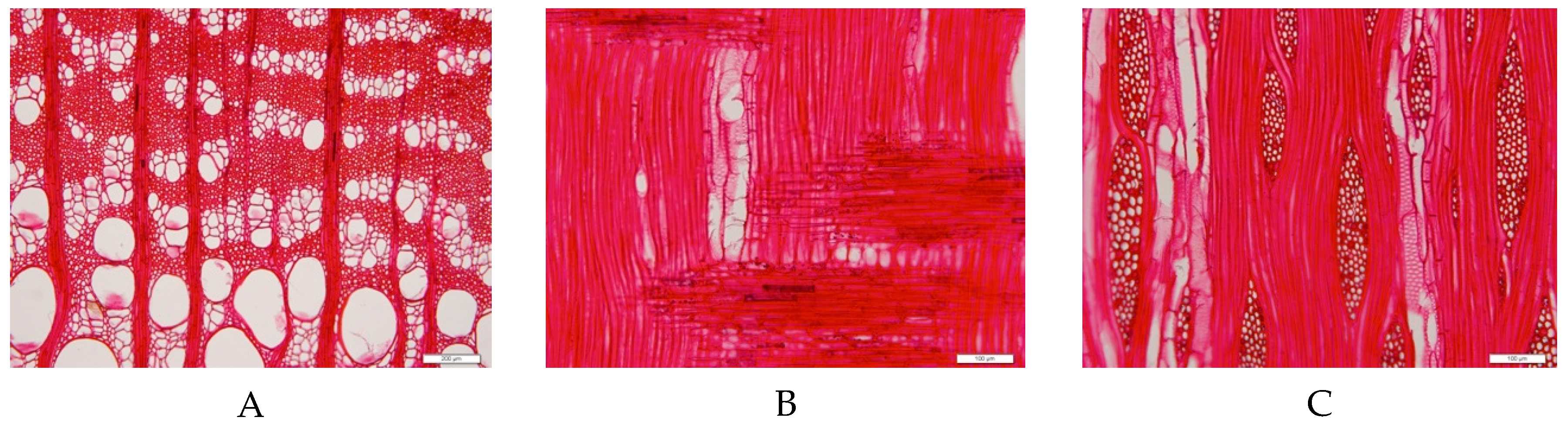 Materials 12 00786 g004 Materials 12 00786 g004