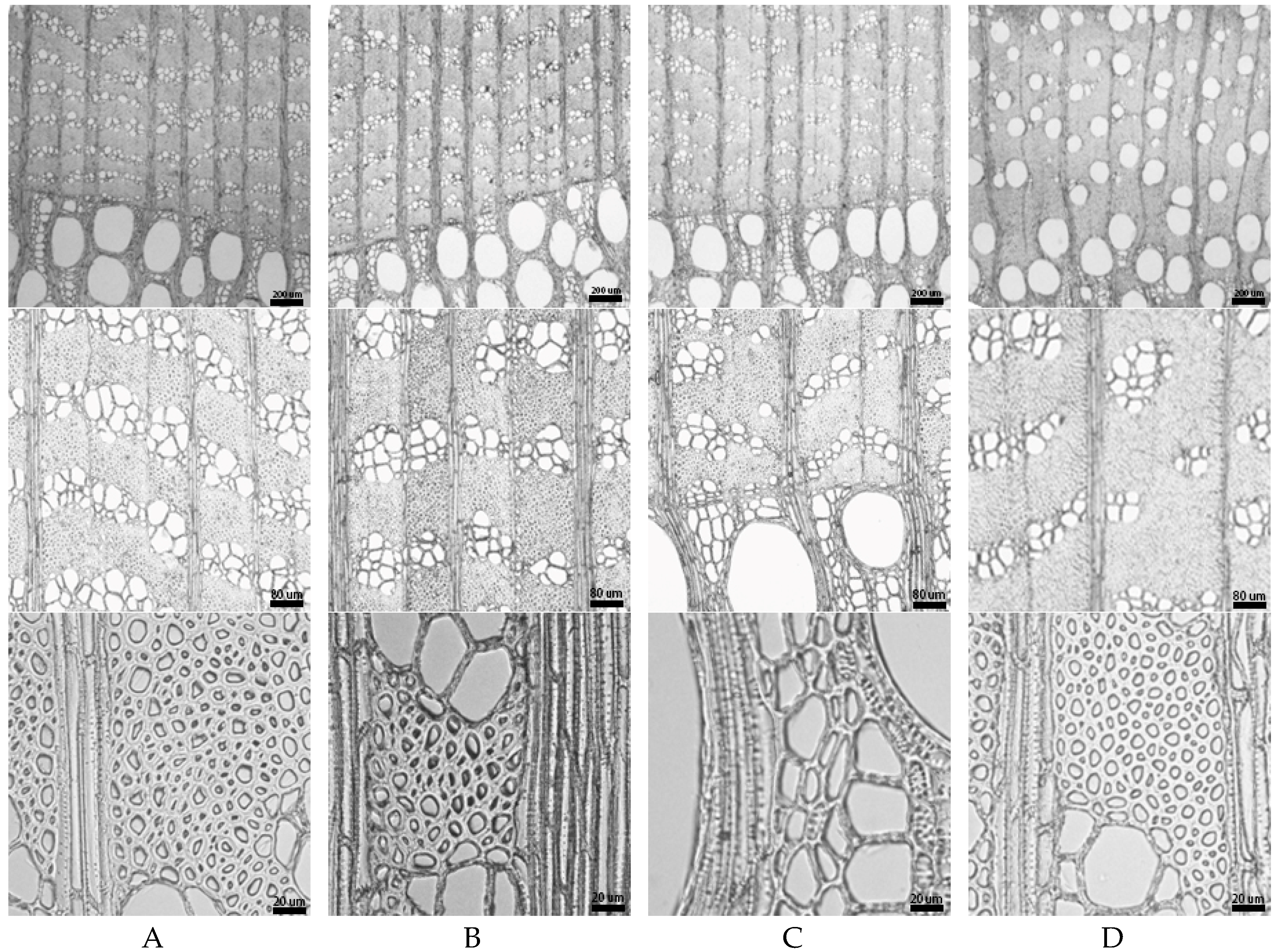 Materials 12 00786 g005 Materials 12 00786 g005