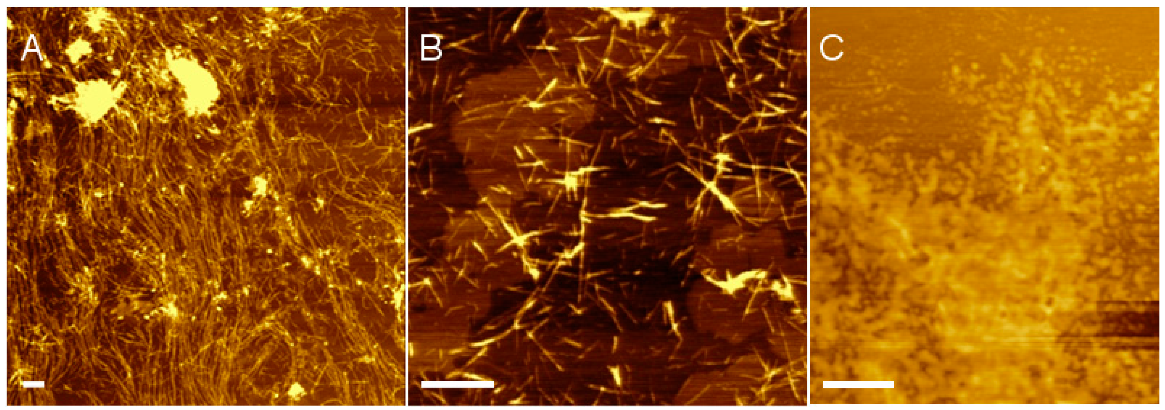 Materials 12 00832 g001 Materials 12 00832 g001