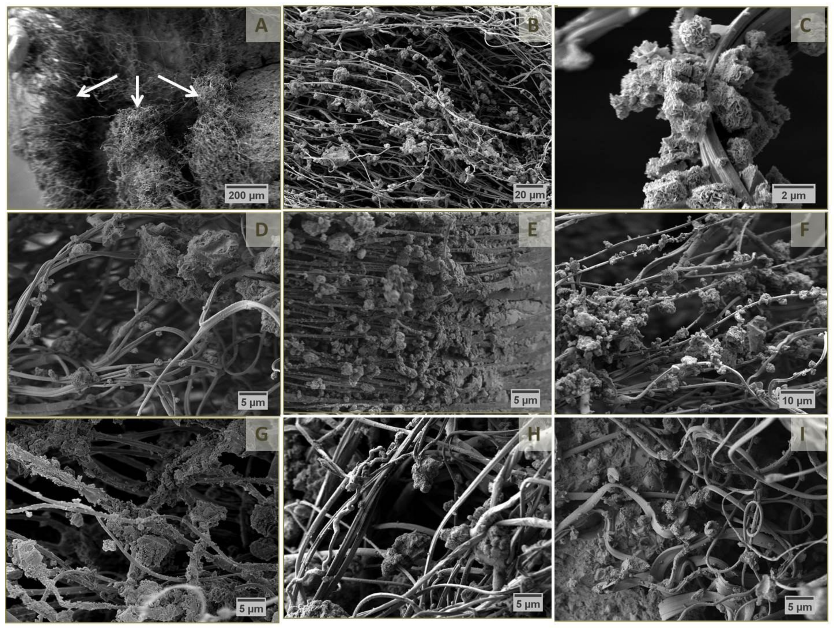 Materials 12 00834 g007 Materials 12 00834 g007