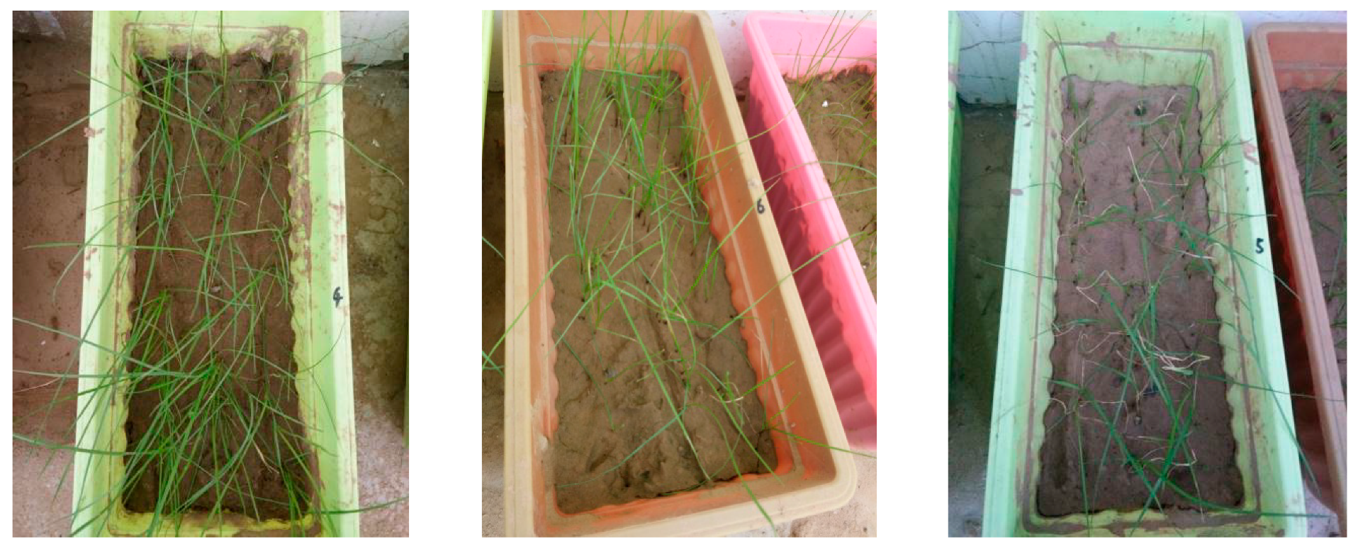 Materials 12 00912 g003