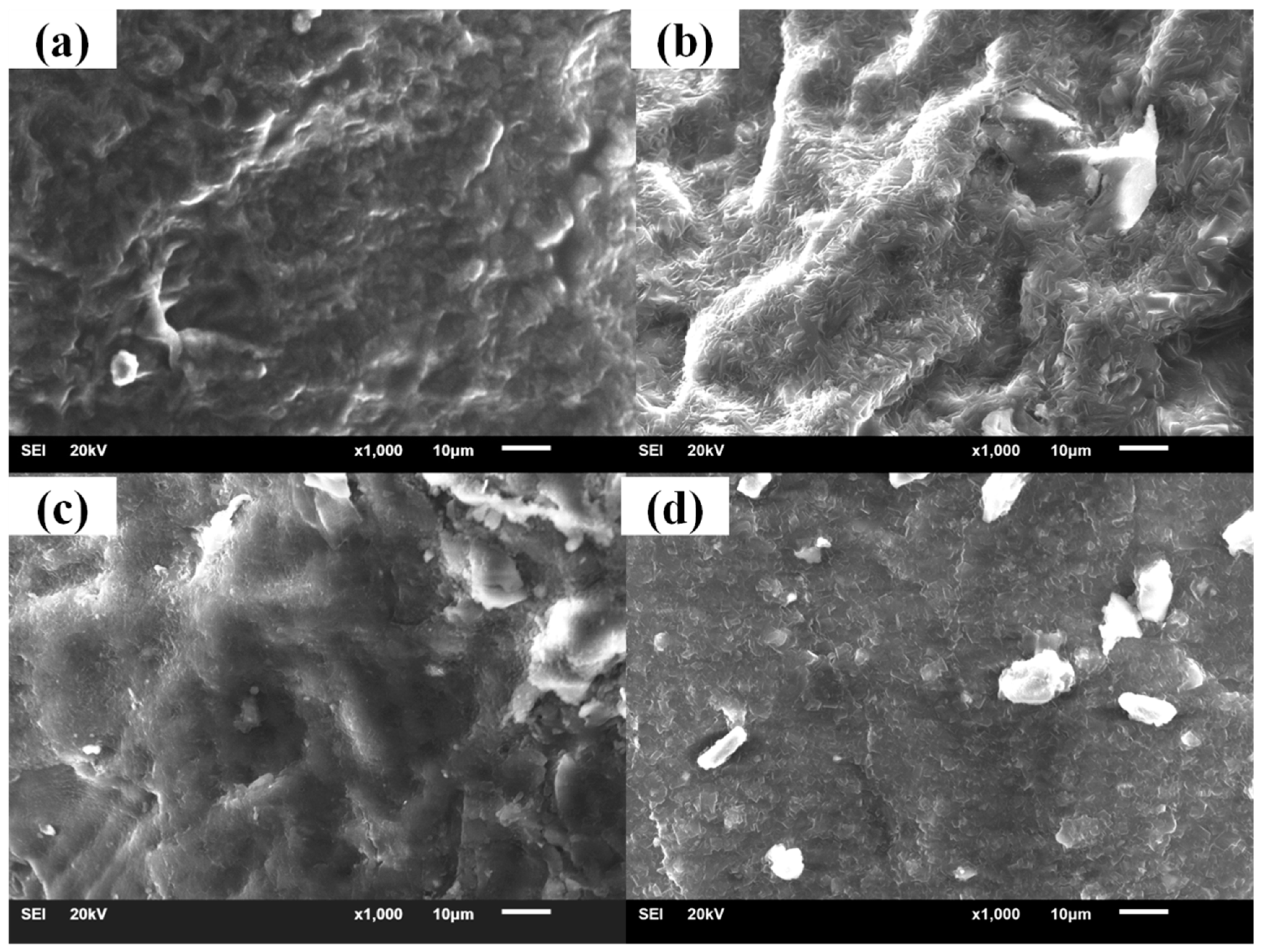 Materials 12 01008 g008