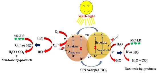 Materials Free Full Text Photodegradation Of Microcystin Lr Using Visible Light Activated C N Co Modified Mesoporous Tio2 Photocatalyst Html