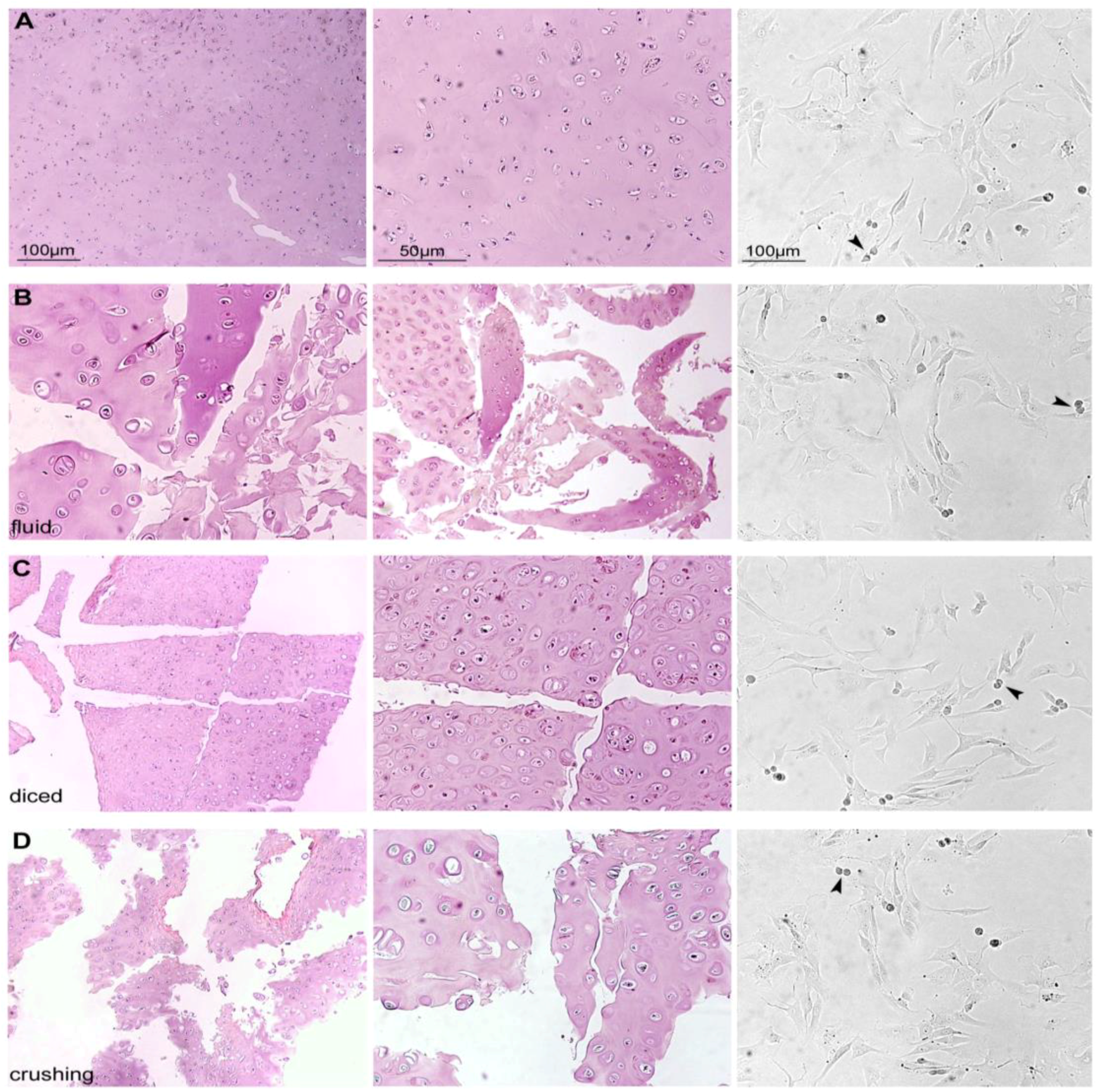 Materials 12 01062 g003