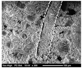 Materials 12 01240 i001