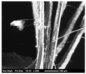 Materials 12 01240 i003