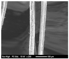 Materials 12 01240 i004