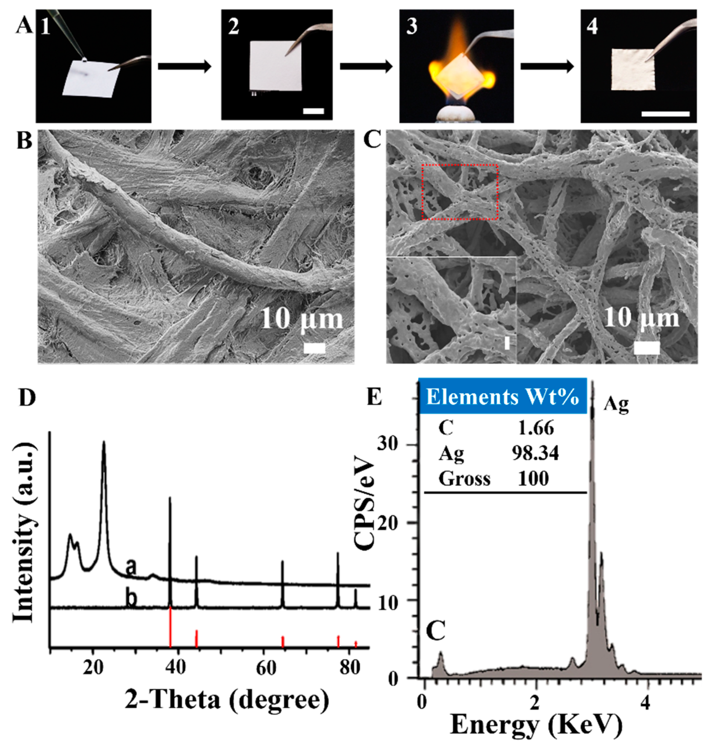 Materials Free Full Text Biomass Templated Fabrication Of Metallic Materials For Photocatalytic And Bactericidal Applications Html