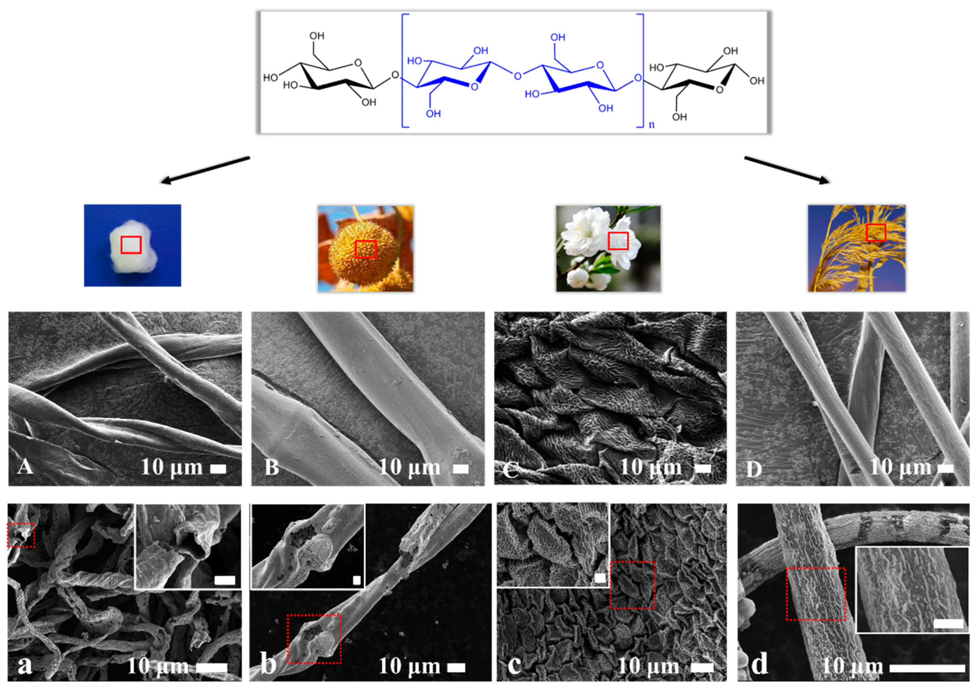 Materials 12 01271 g002