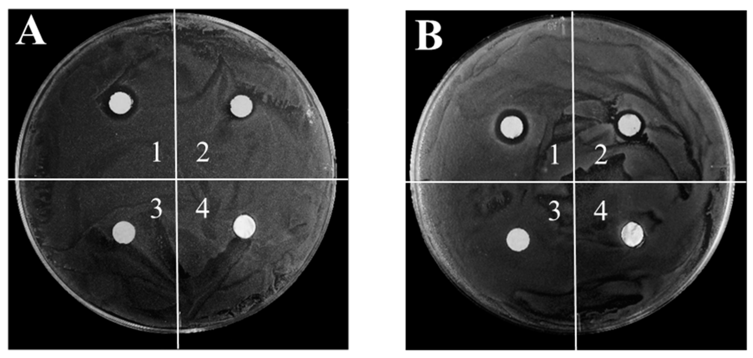 Materials 12 01271 g005