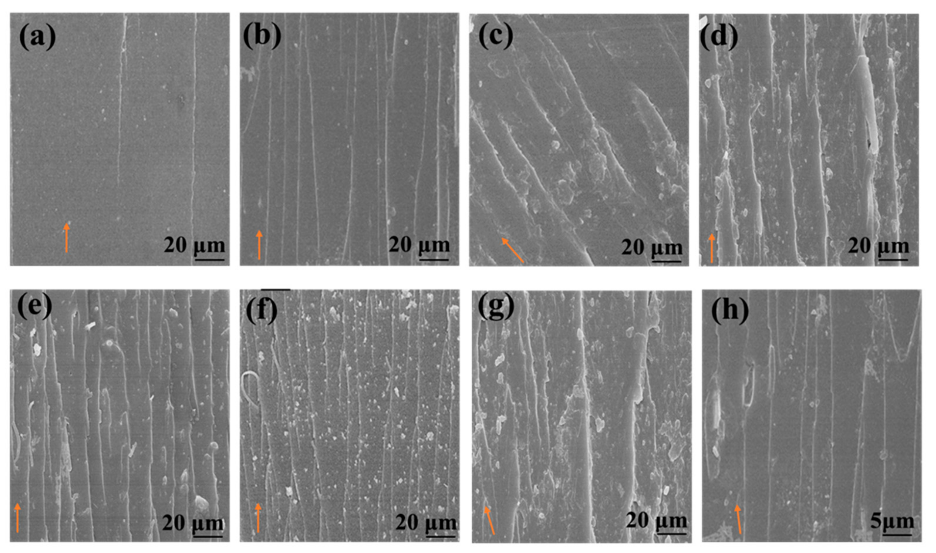 Materials 12 01354 g007