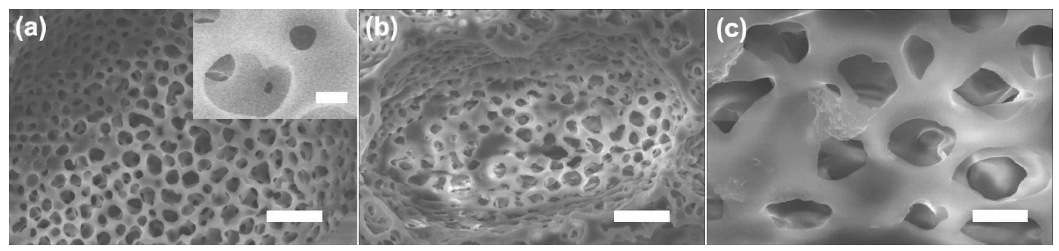 Materials 12 01438 g003