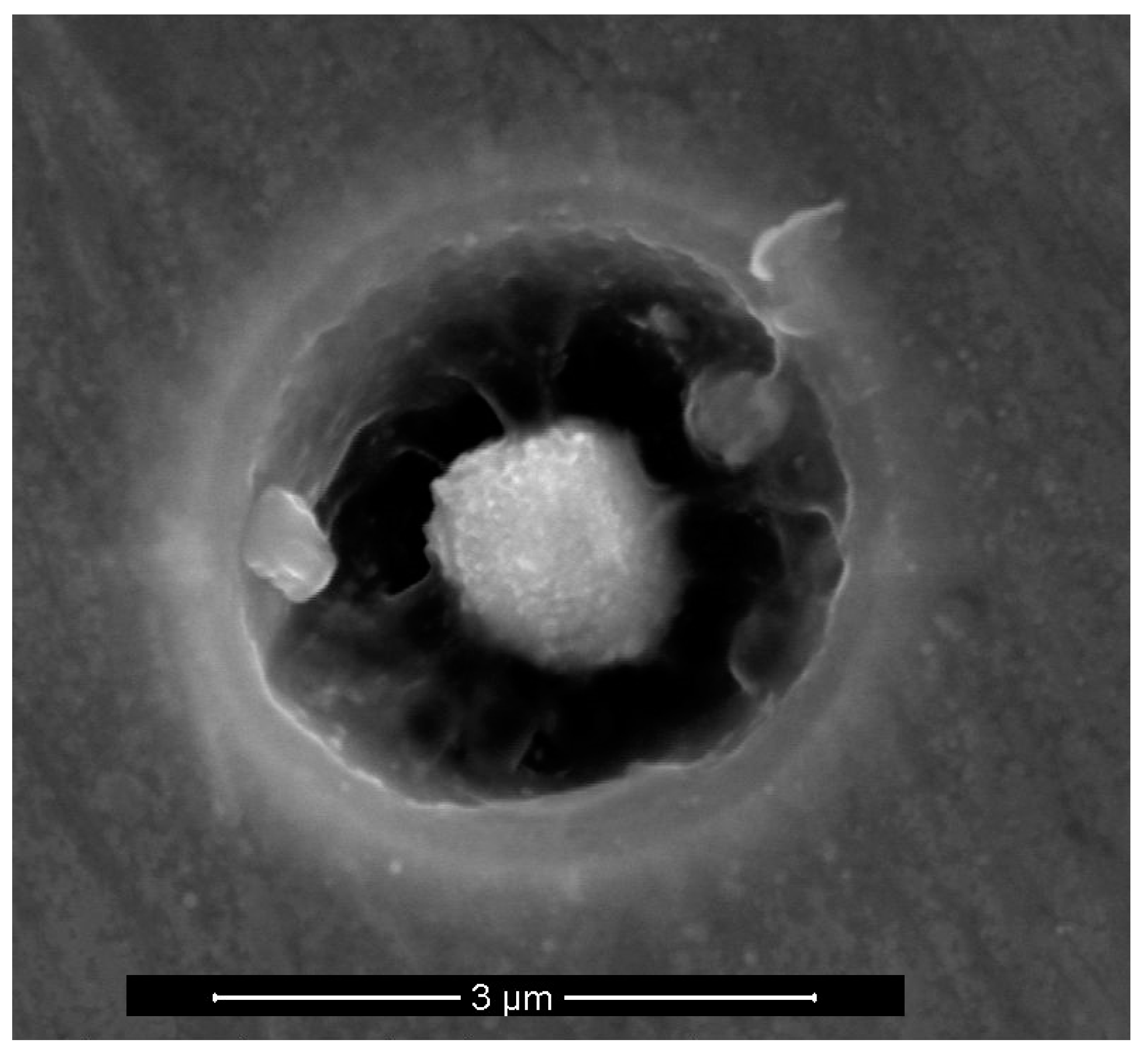 Materials 12 01786 g004