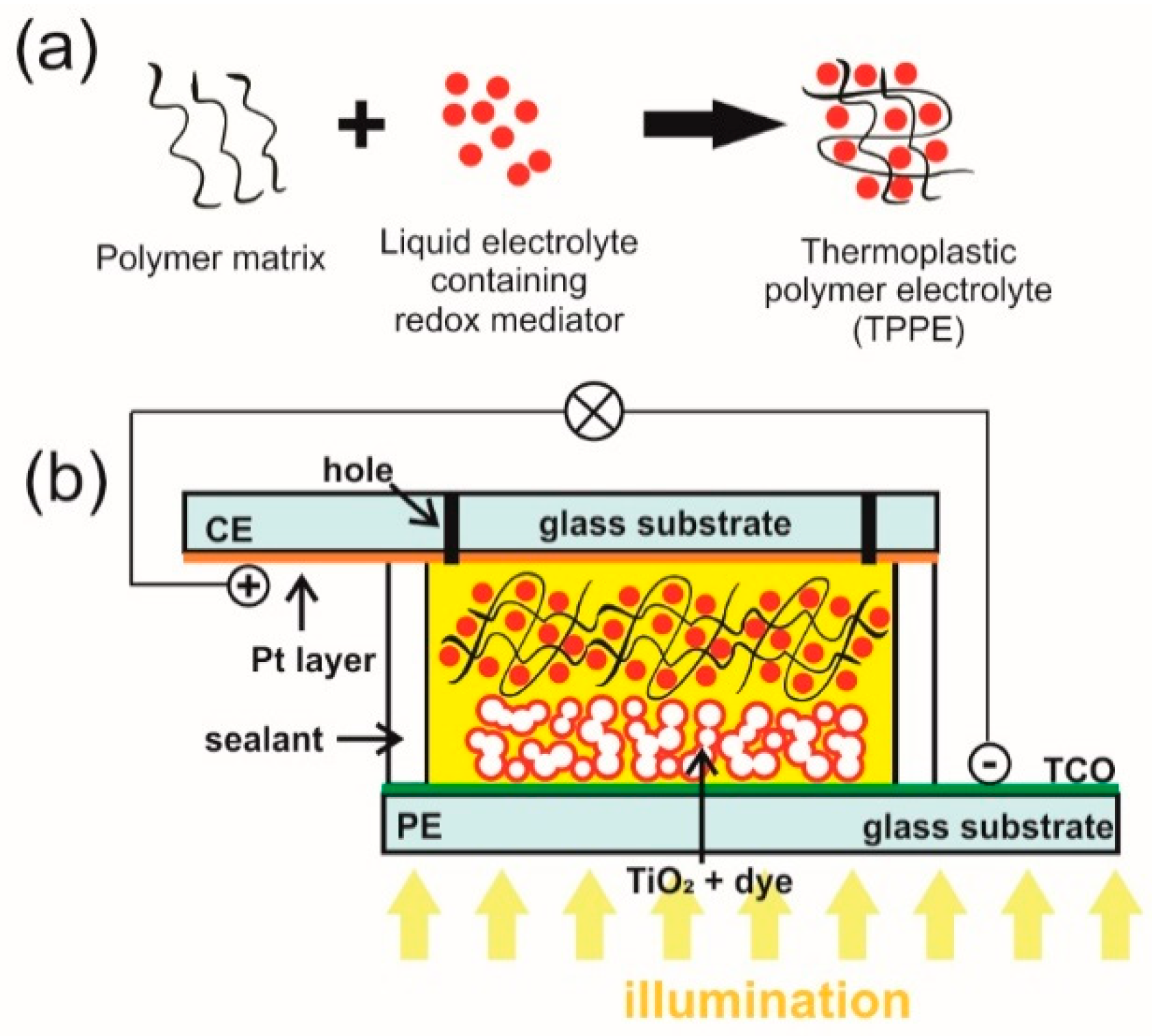 Materials Free Full Text Progress On Electrolytes Development In Dye Sensitized Solar Cells Html