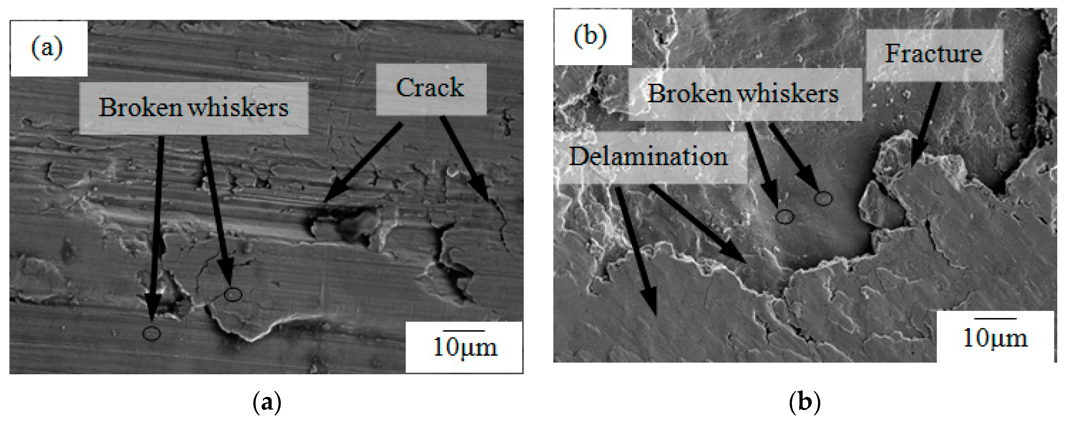 Materials 12 02112 g009