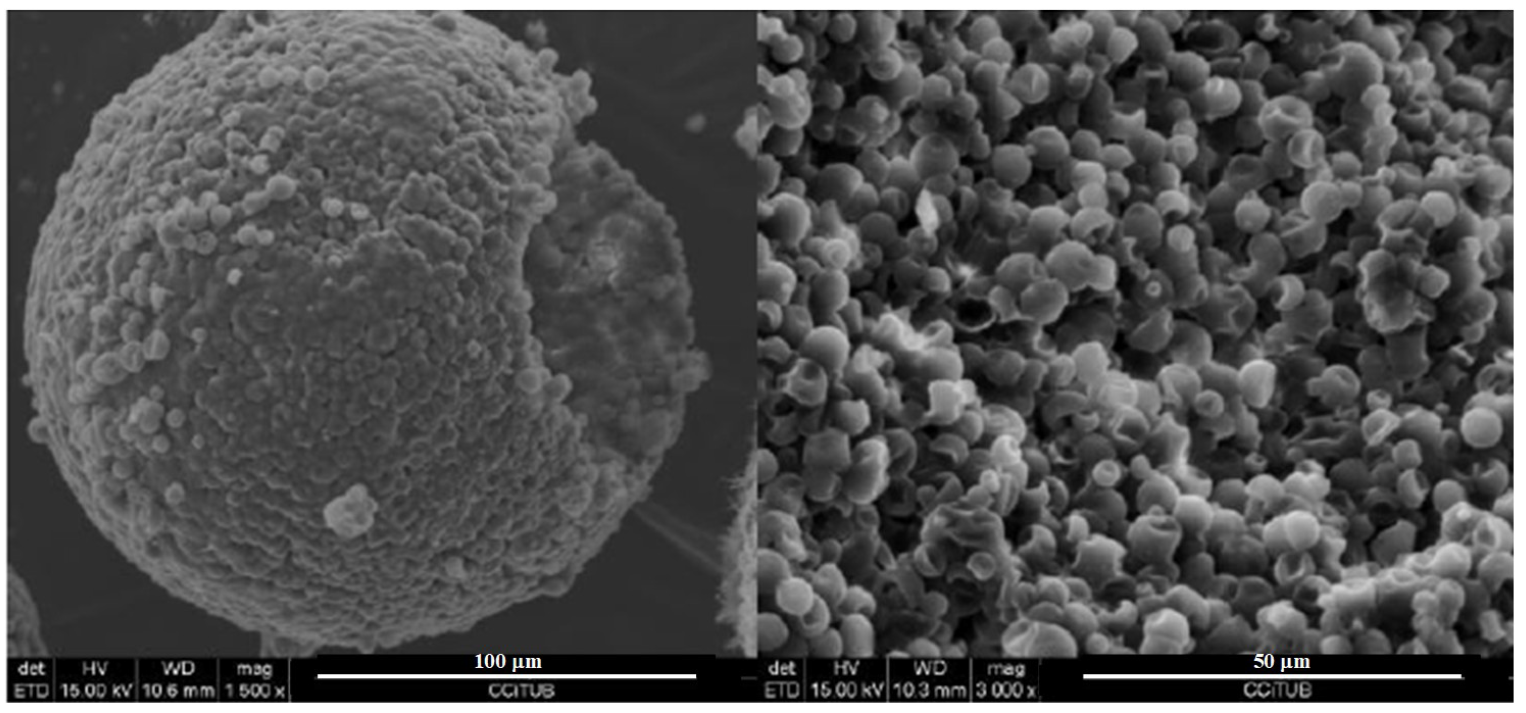 Materials 12 02144 g001 Materials 12 02144 g001