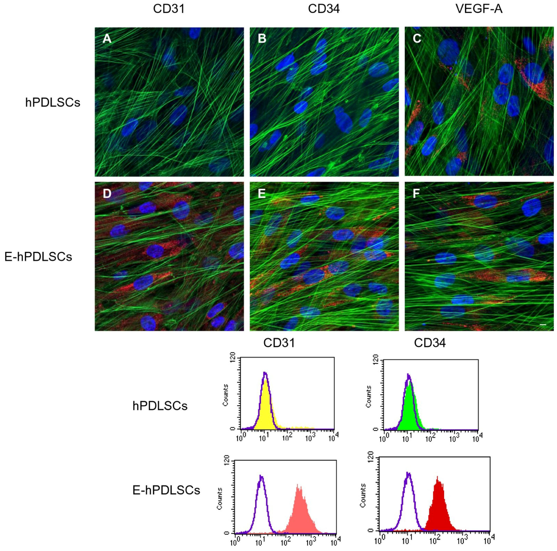 Materials 12 02157 g003