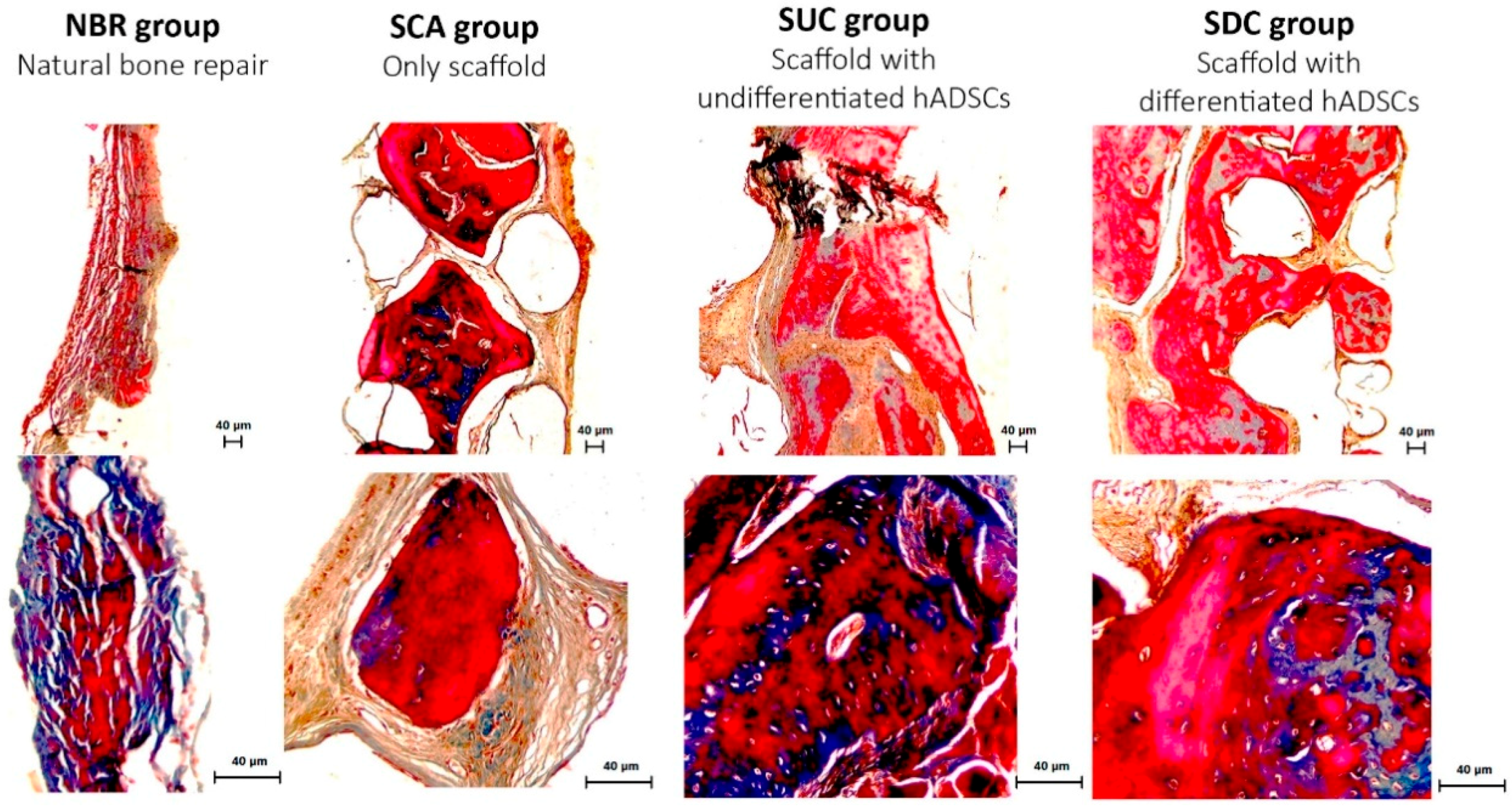 Materials 12 02268 g005