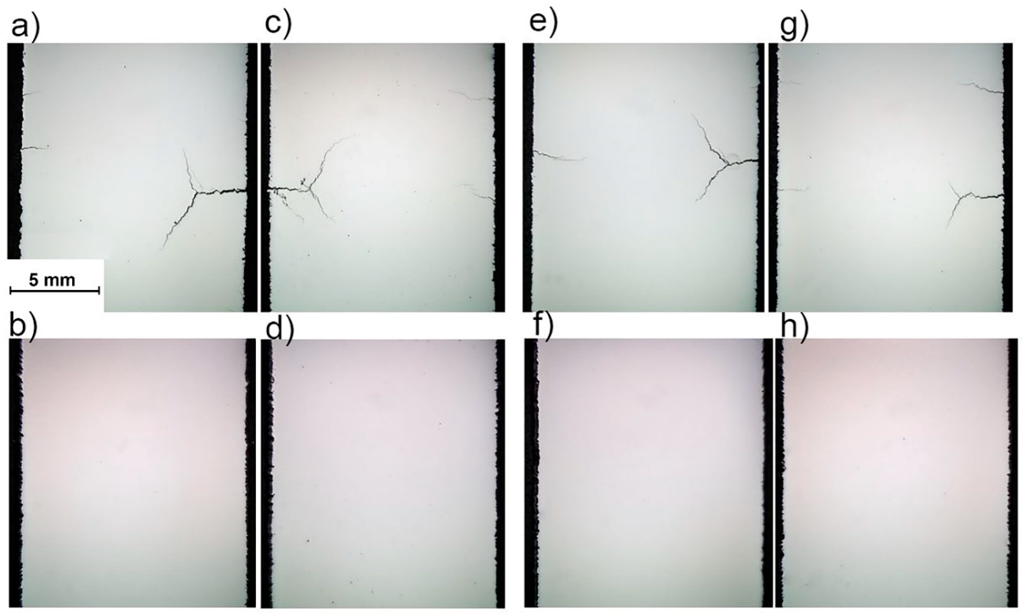 Materials 12 02284 g008