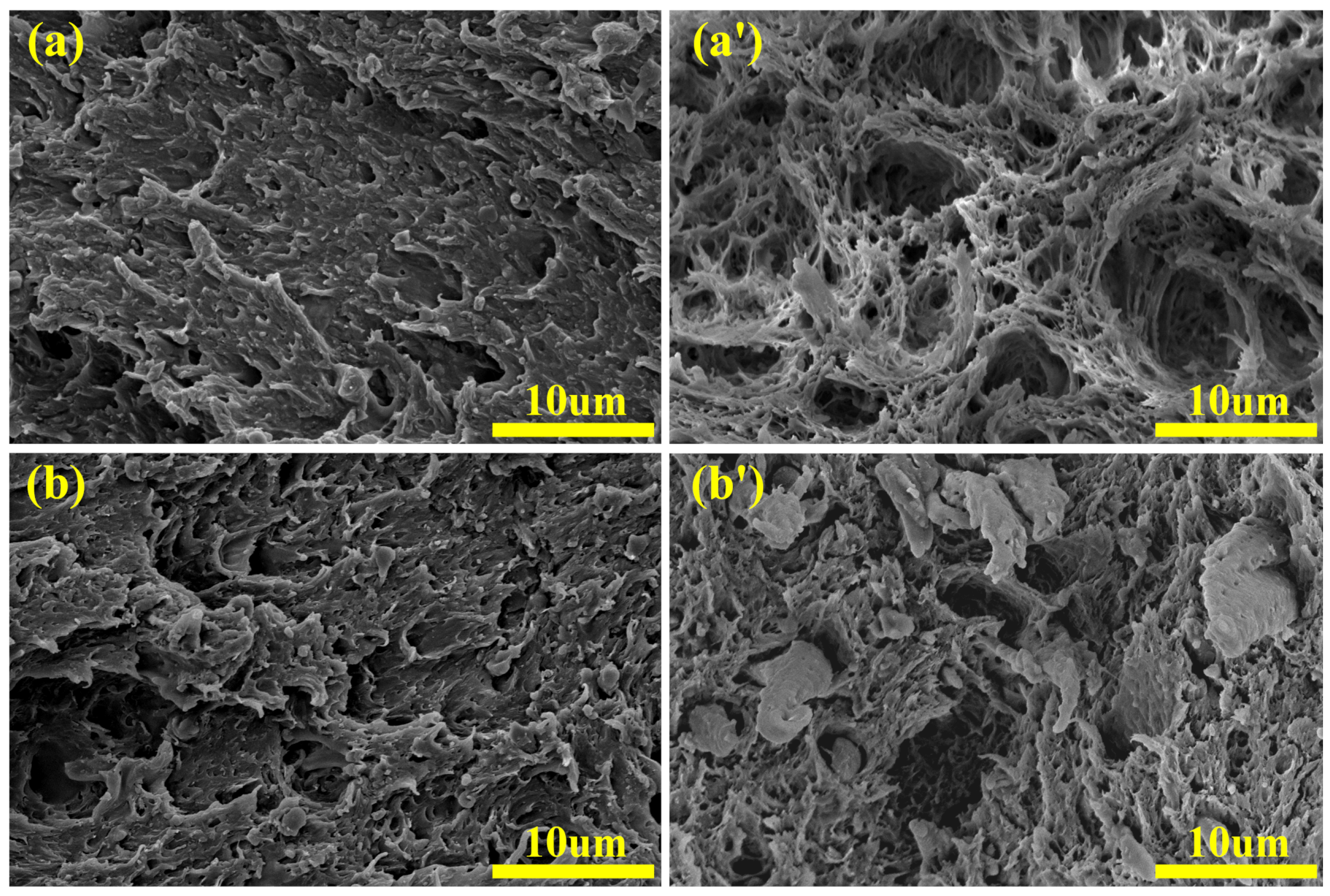 Materials 12 02352 g006a