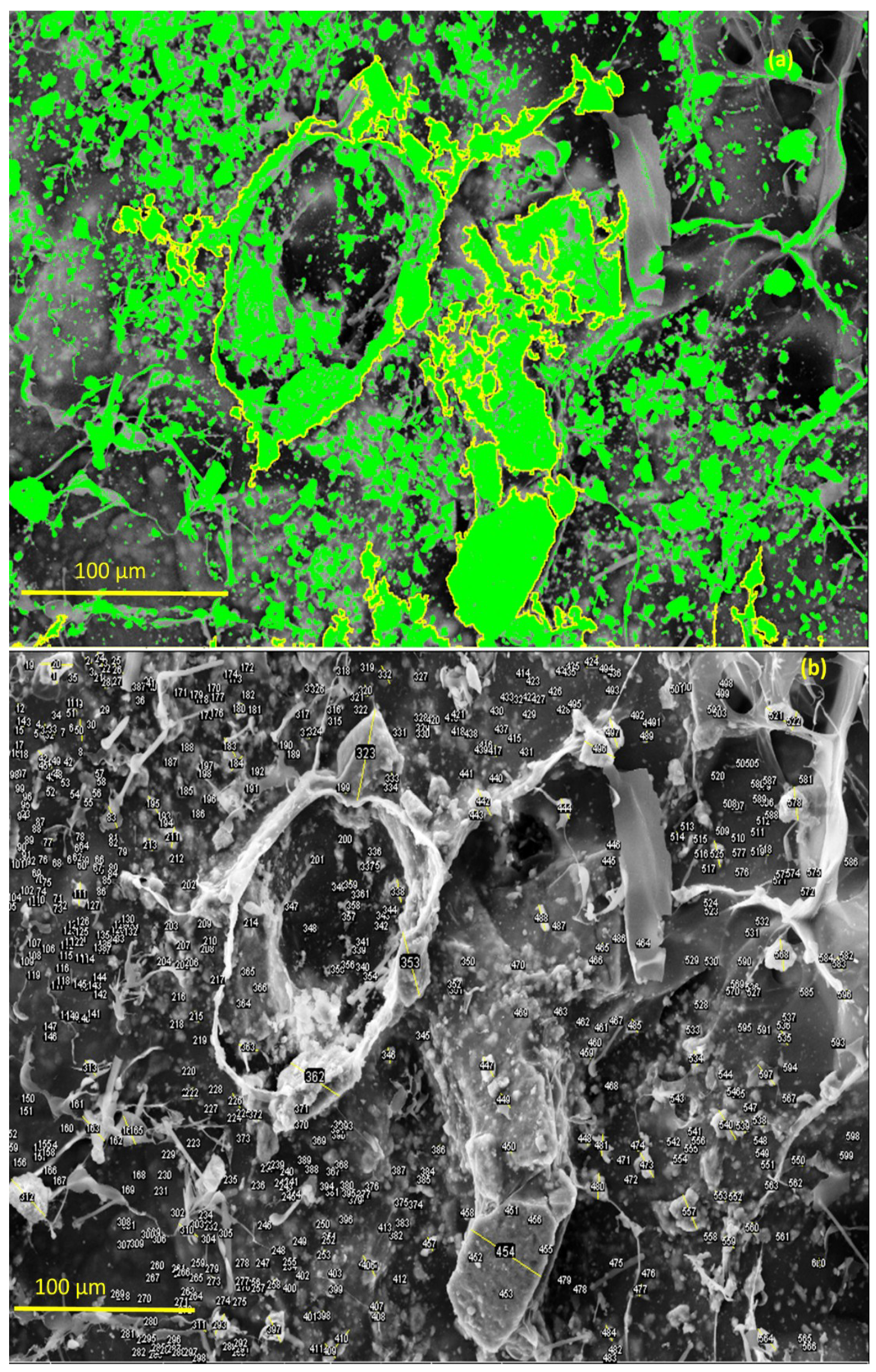 Materials 12 02389 g010