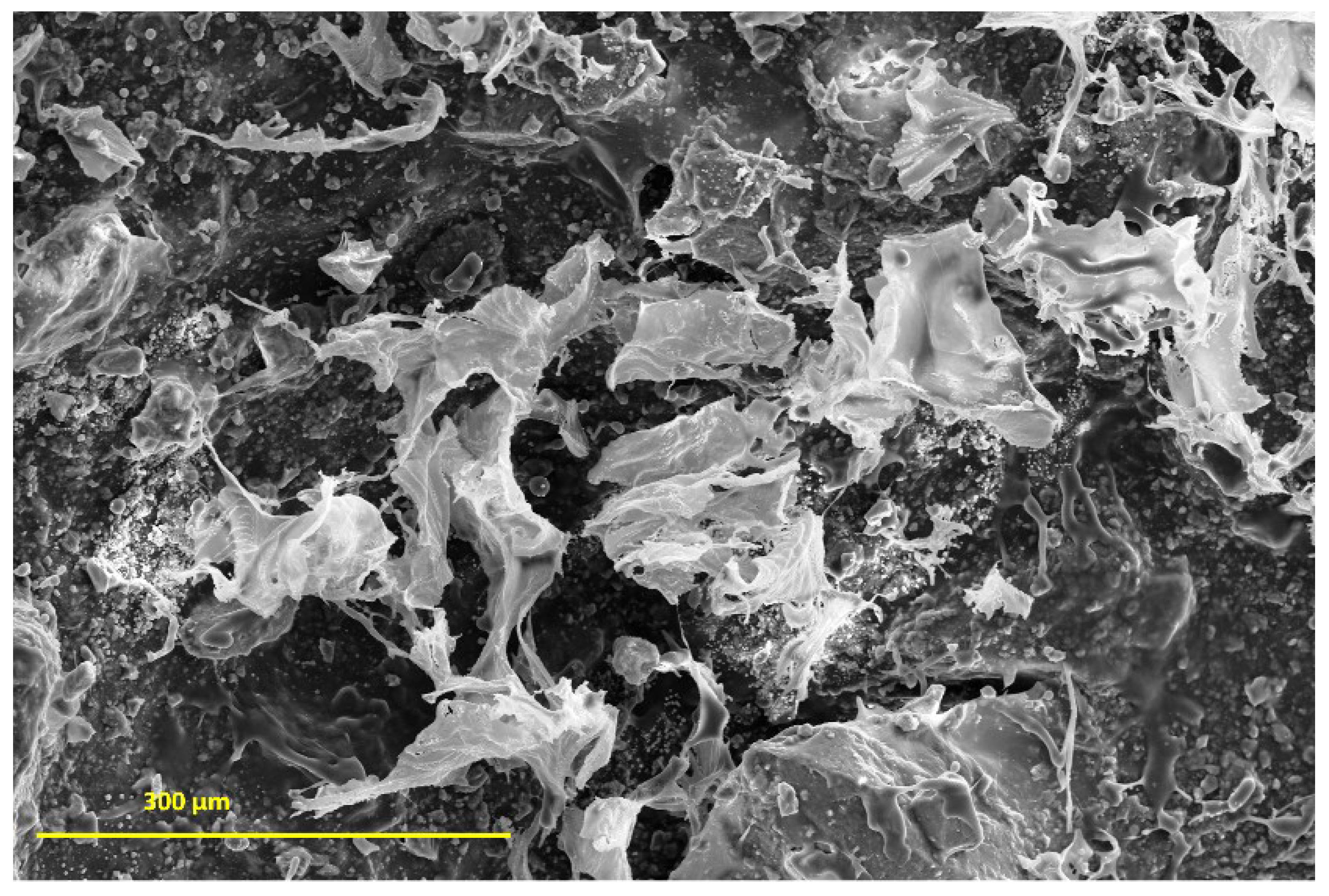 Materials 12 02389 g014