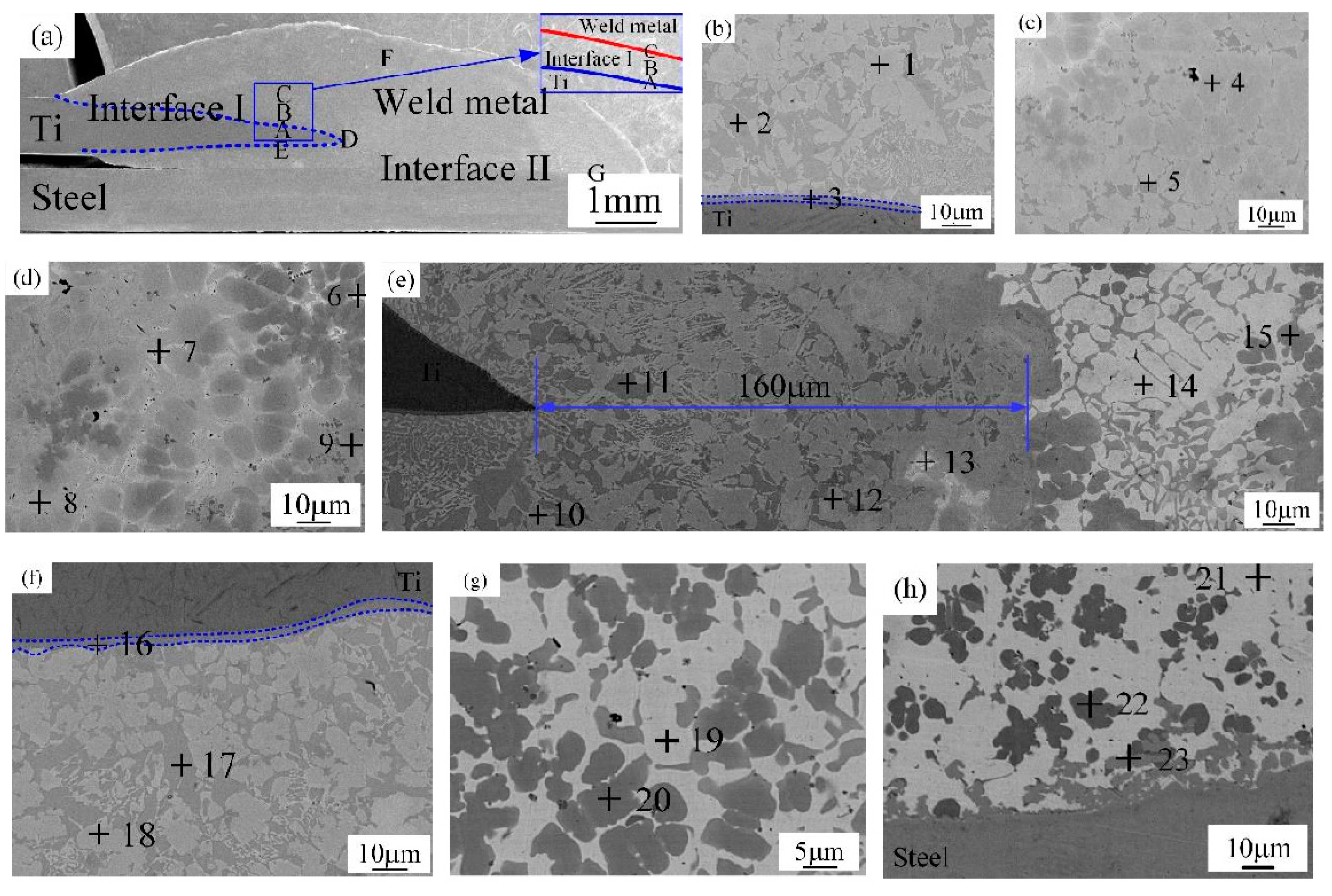 Materials 12 02413 g005