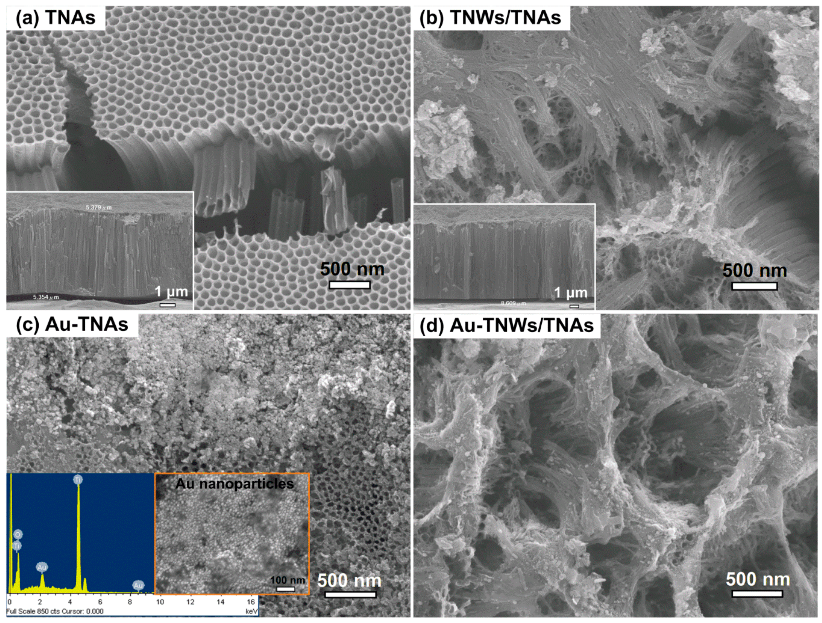 Materials 12 02434 g002 Materials 12 02434 g002