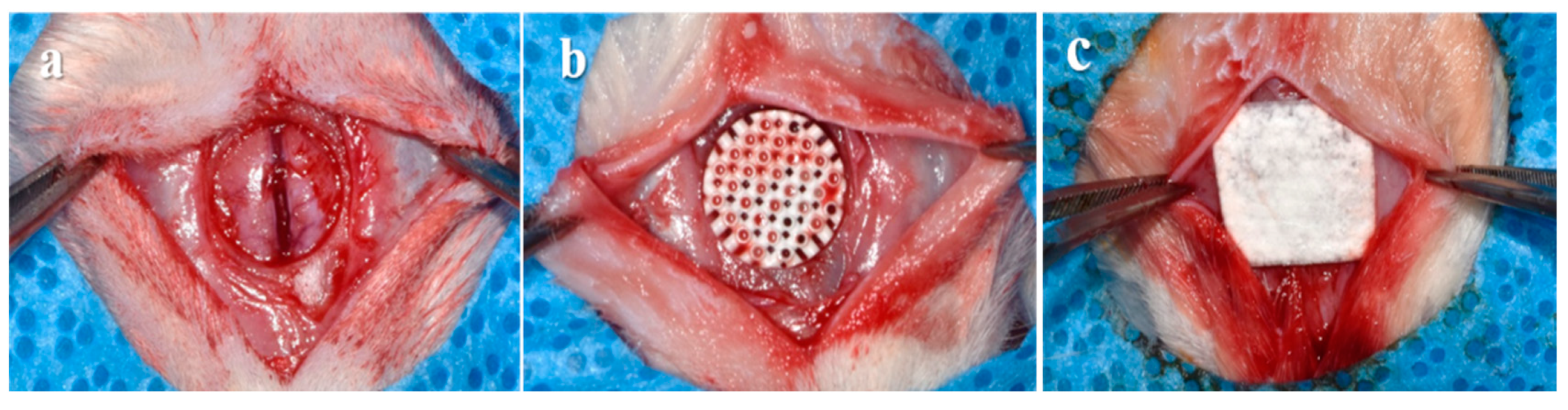 Materials 12 02435 g002