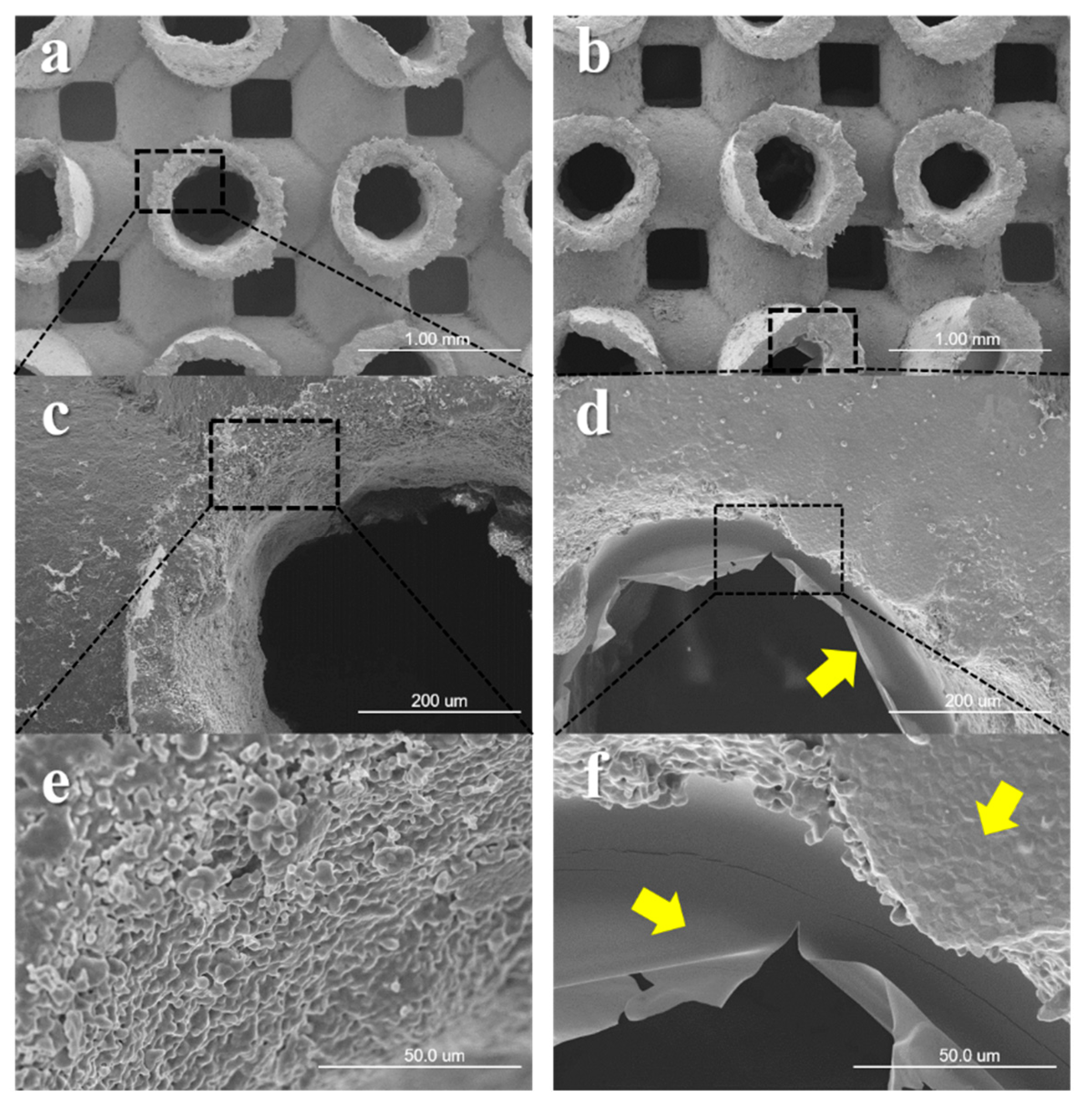 Materials 12 02435 g005