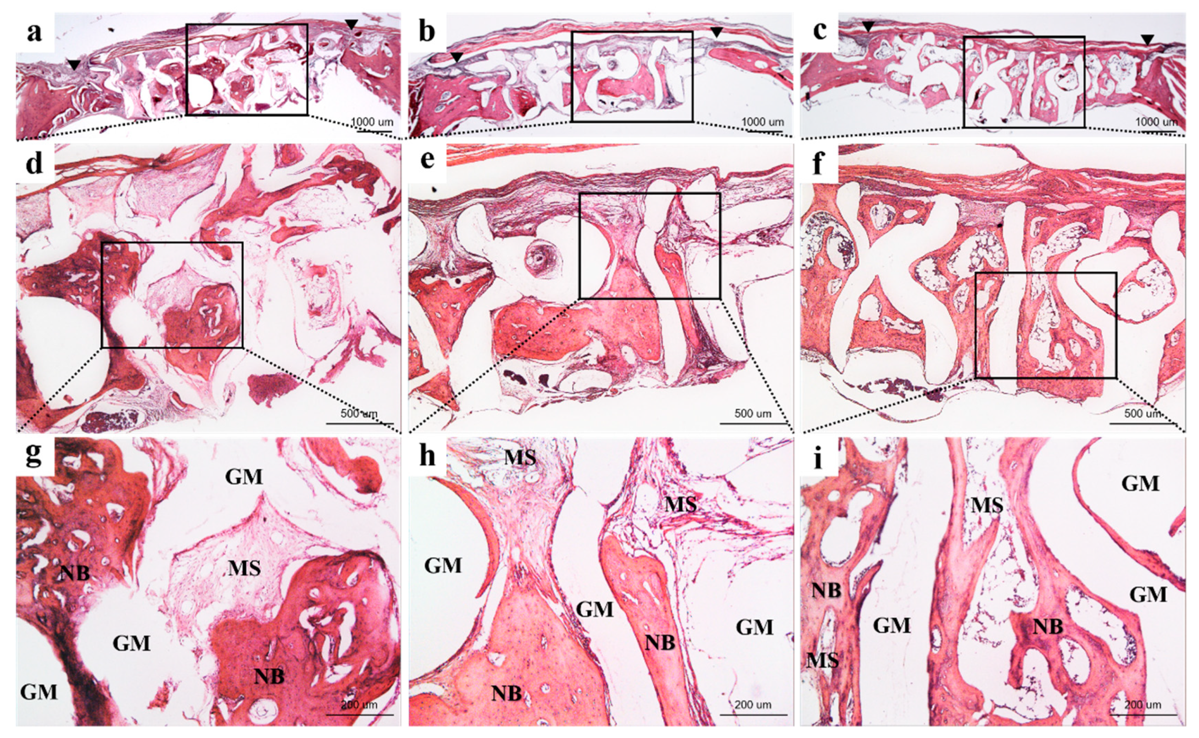 Materials 12 02435 g007