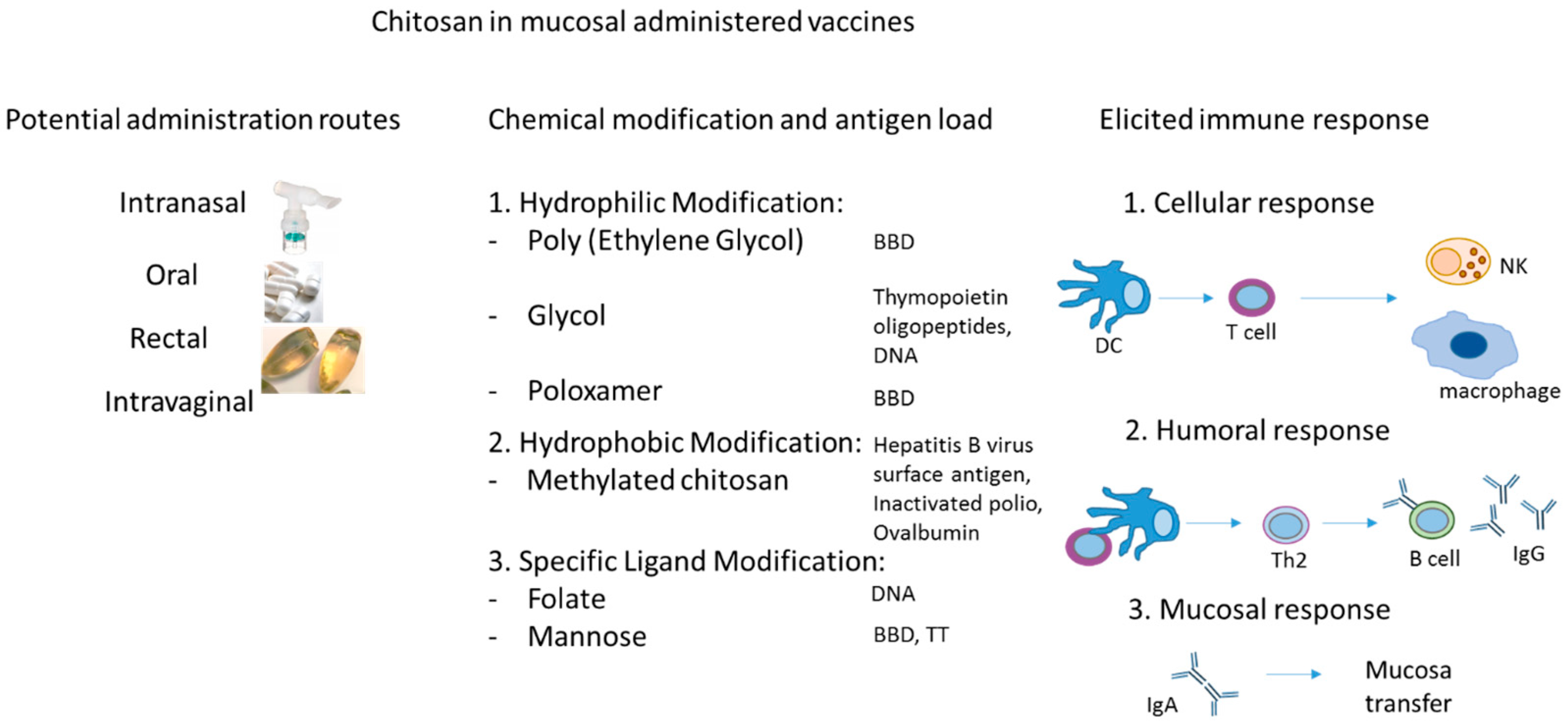 Materials 12 02445 g001 Materials 12 02445 g001