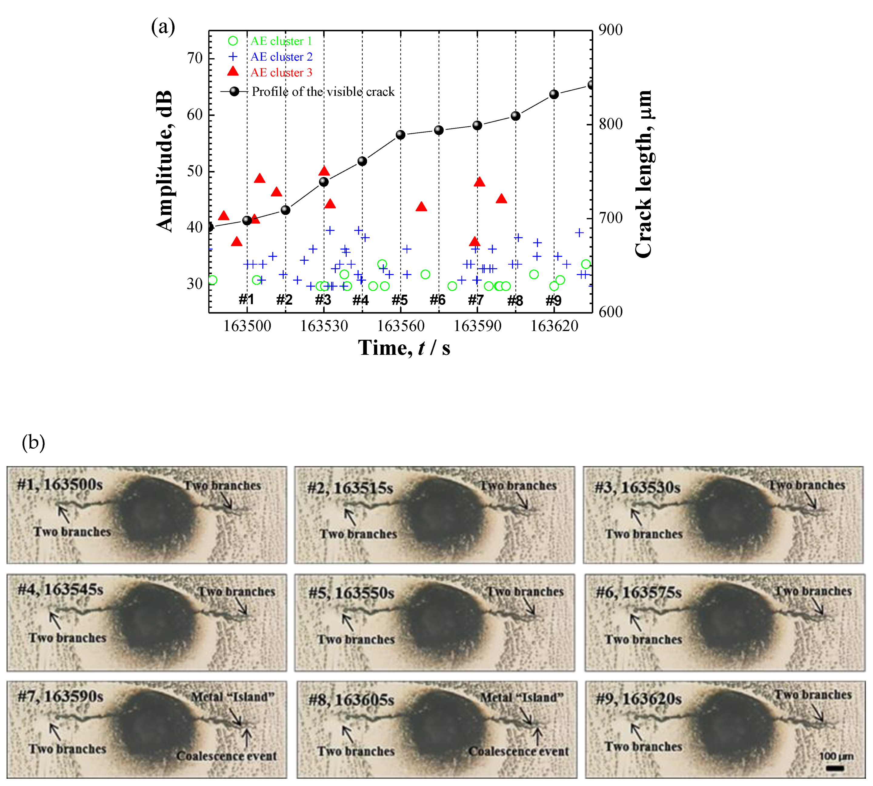 Materials 12 02569 g014
