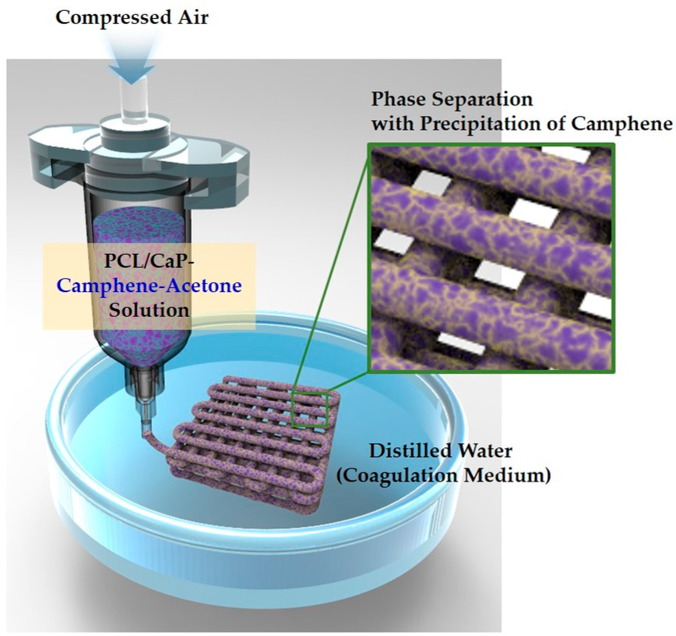 Materials 12 02650 g001