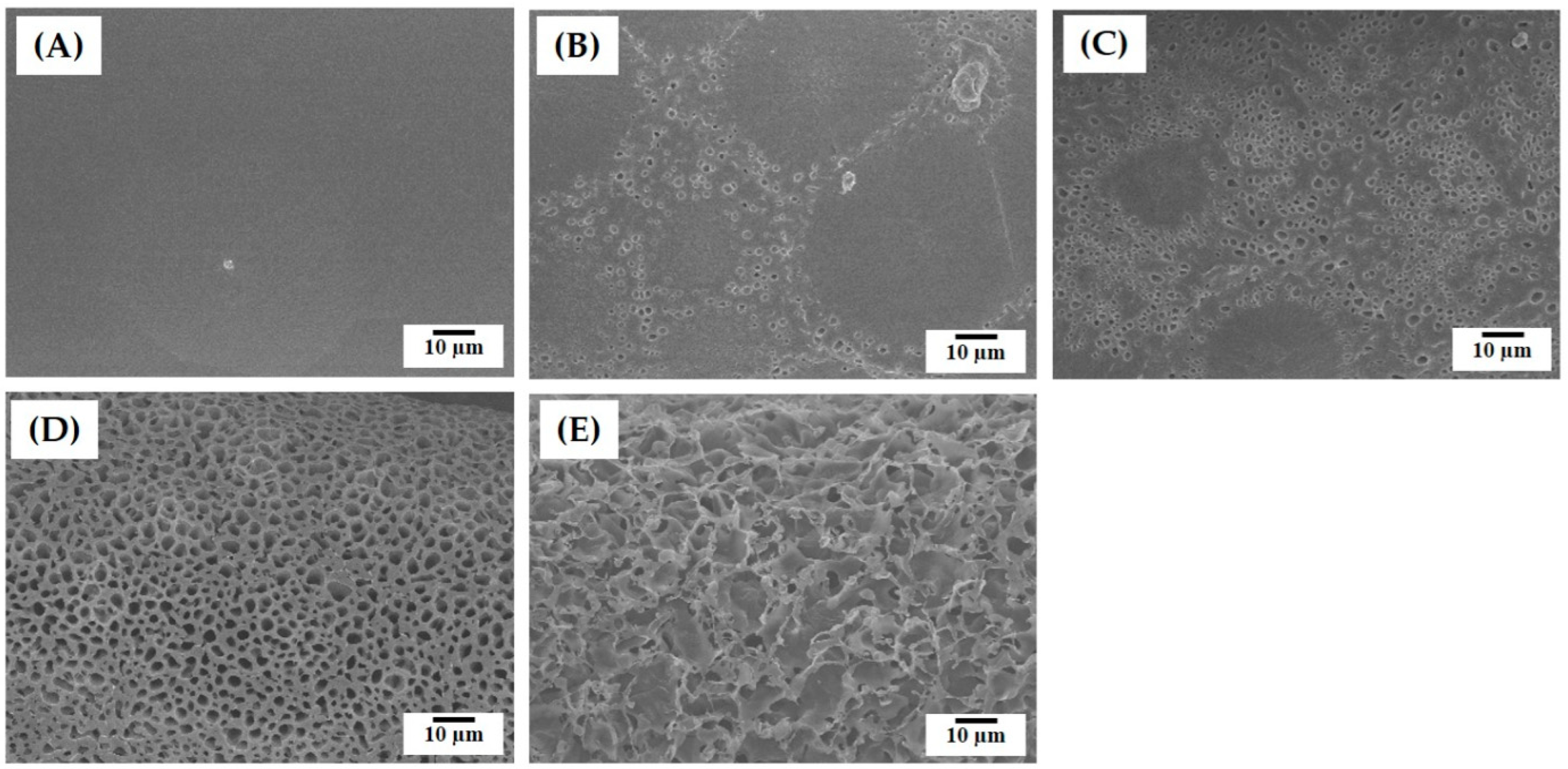 Materials 12 02650 g004