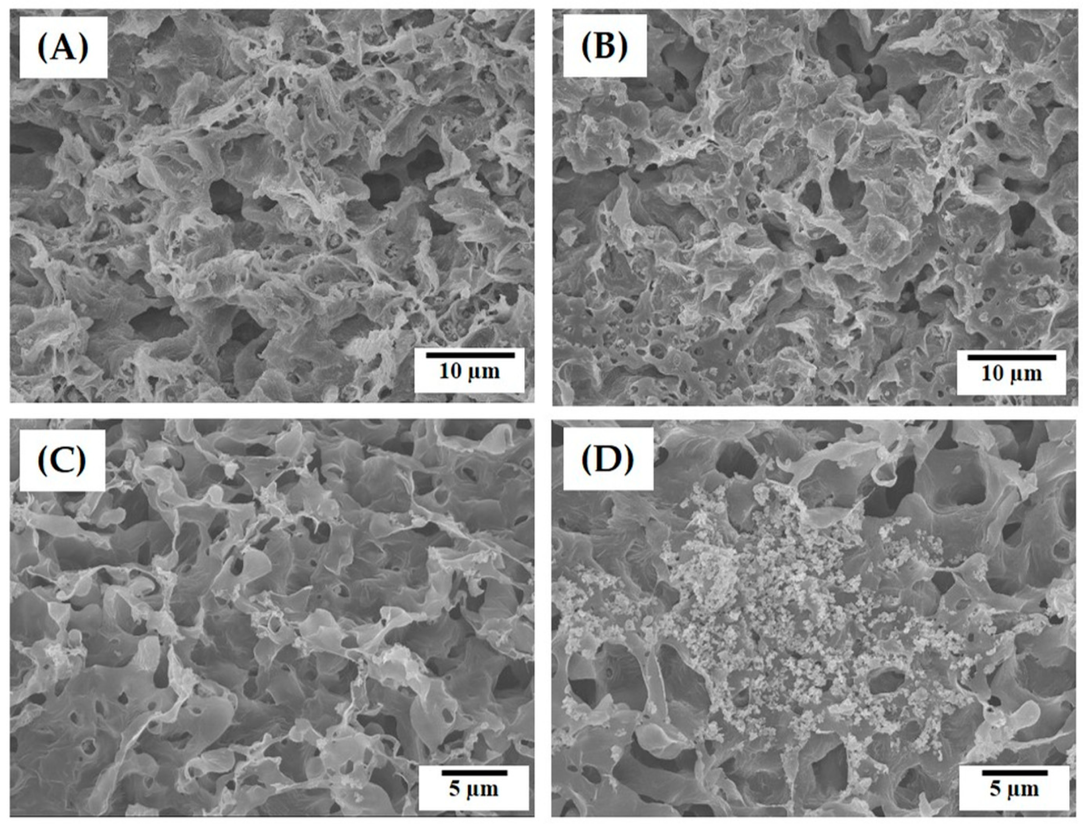 Materials 12 02650 g007