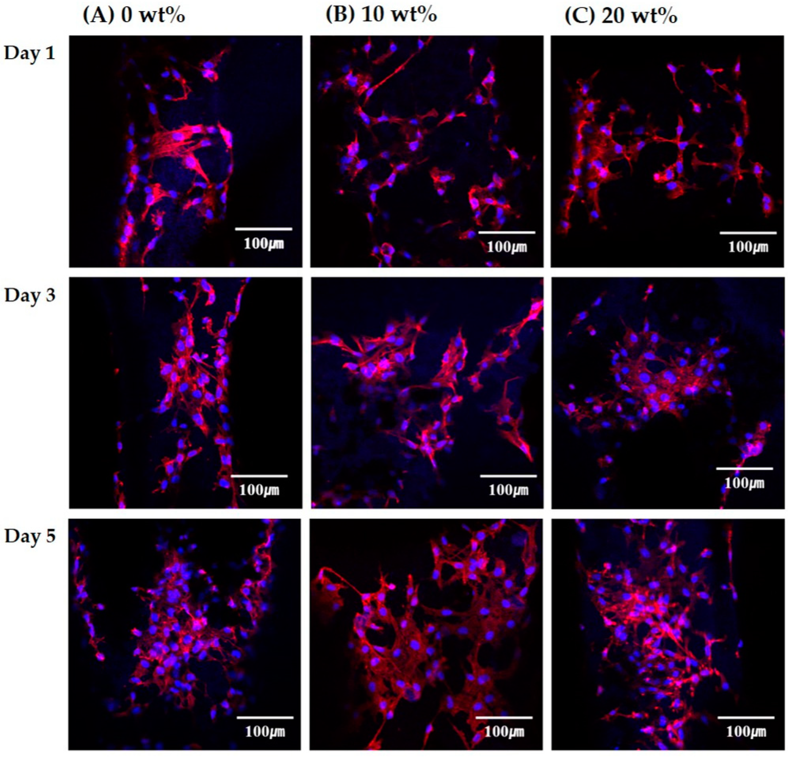 Materials 12 02650 g009
