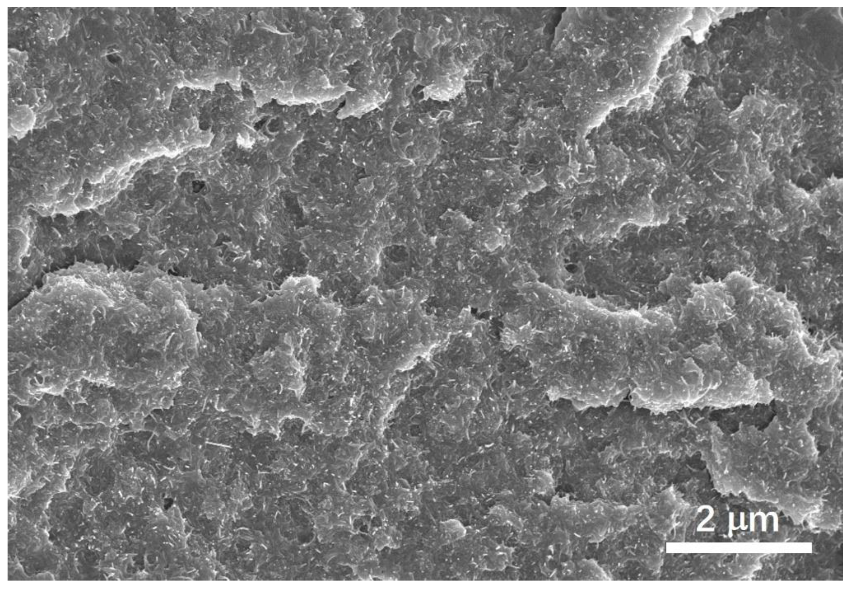 Materials 12 02704 g002