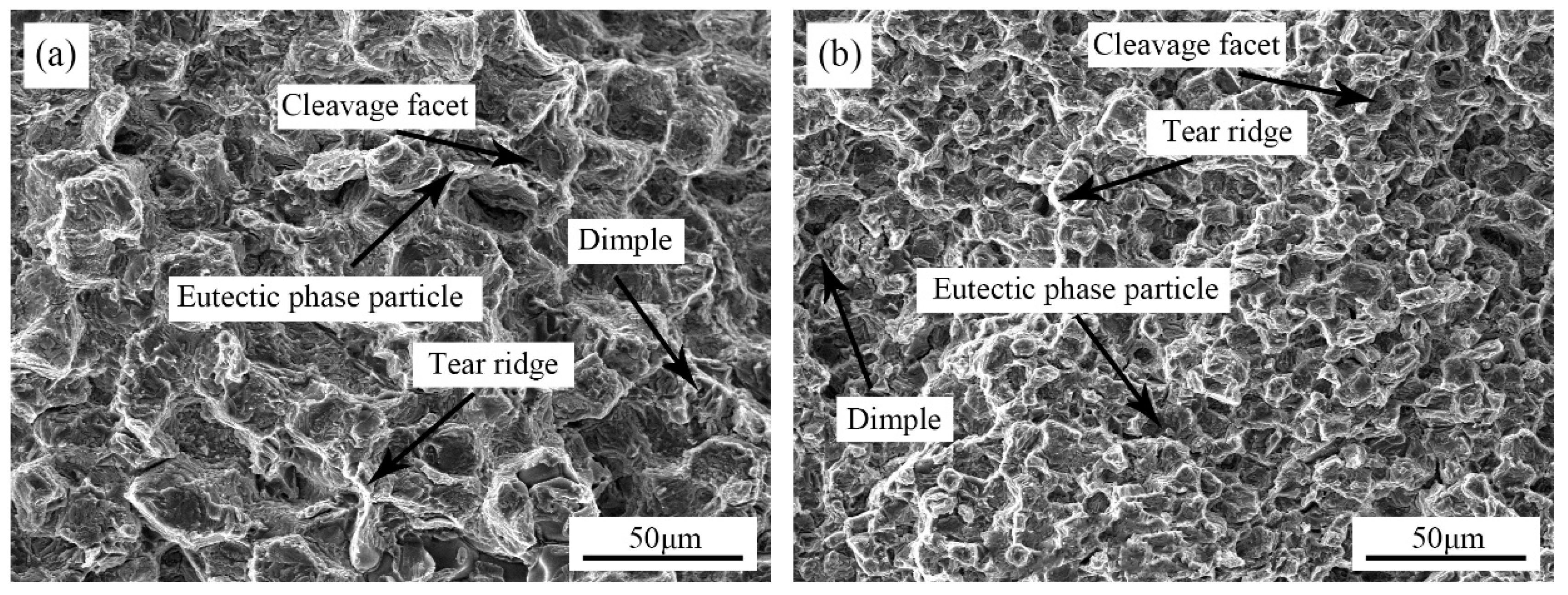 Materials 12 02722 g011 Materials 12 02722 g011