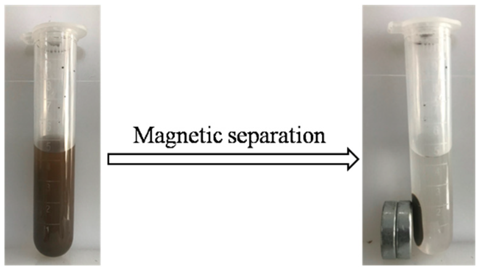 Materials 12 02844 g001