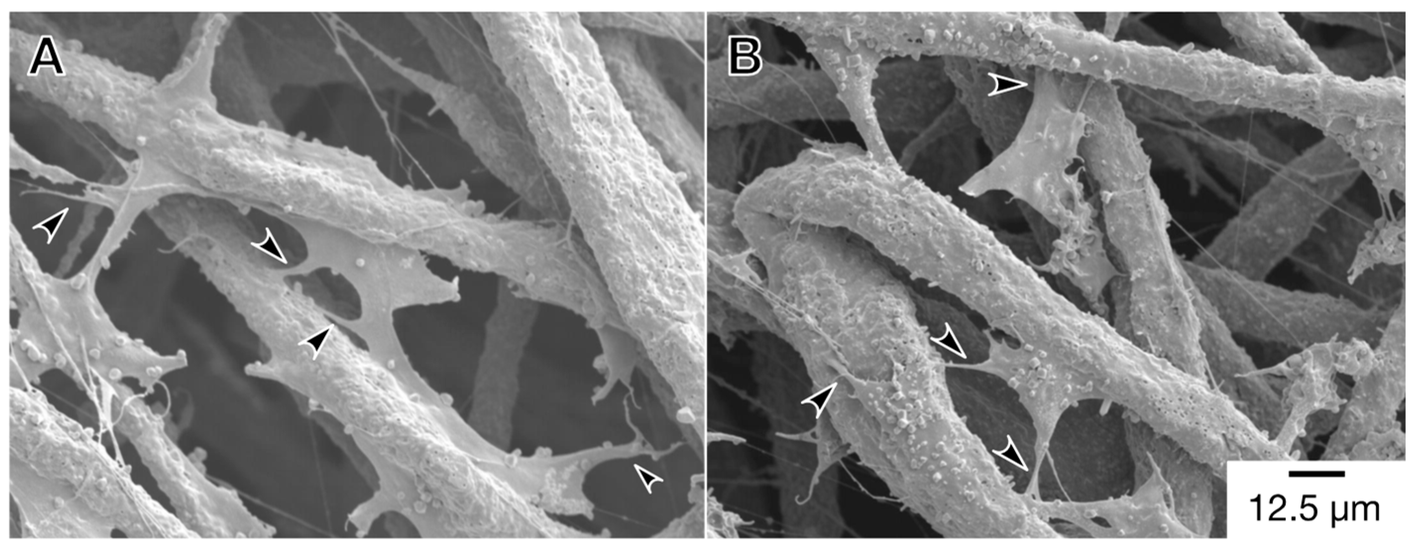 Materials 12 02869 g004