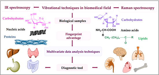 Materials | Free Full-Text | Vibrational Spectroscopy Fingerprinting in  Medicine: from Molecular to Clinical Practice | HTML