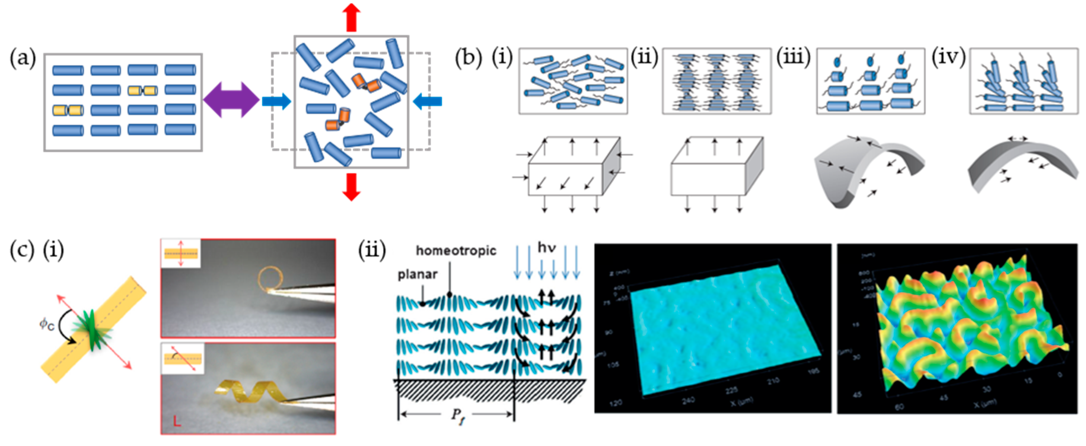 Materials 12 03065 g006